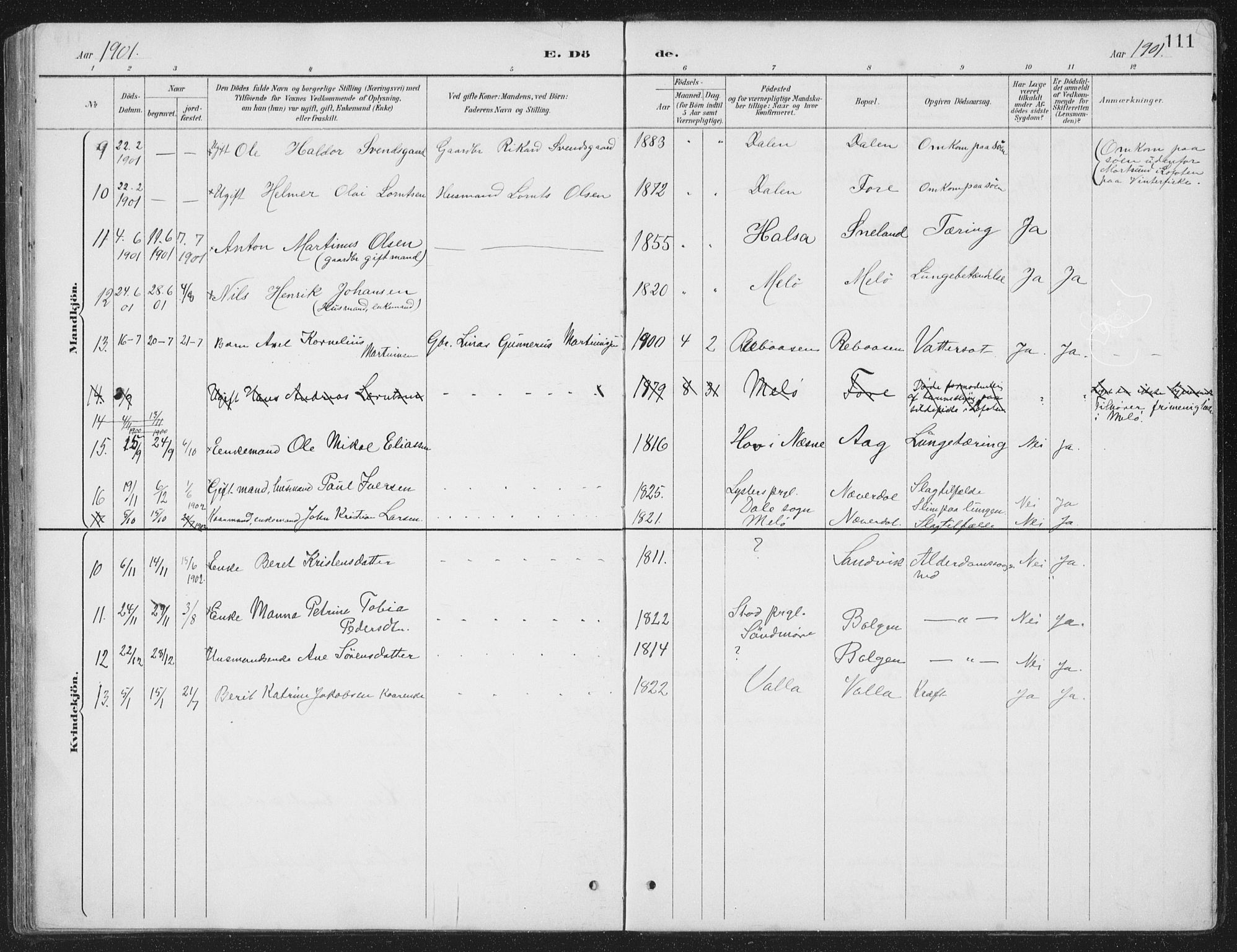 Ministerialprotokoller, klokkerbøker og fødselsregistre - Nordland, AV/SAT-A-1459/843/L0638: Parish register (copy) no. 843C07, 1888-1907, p. 111