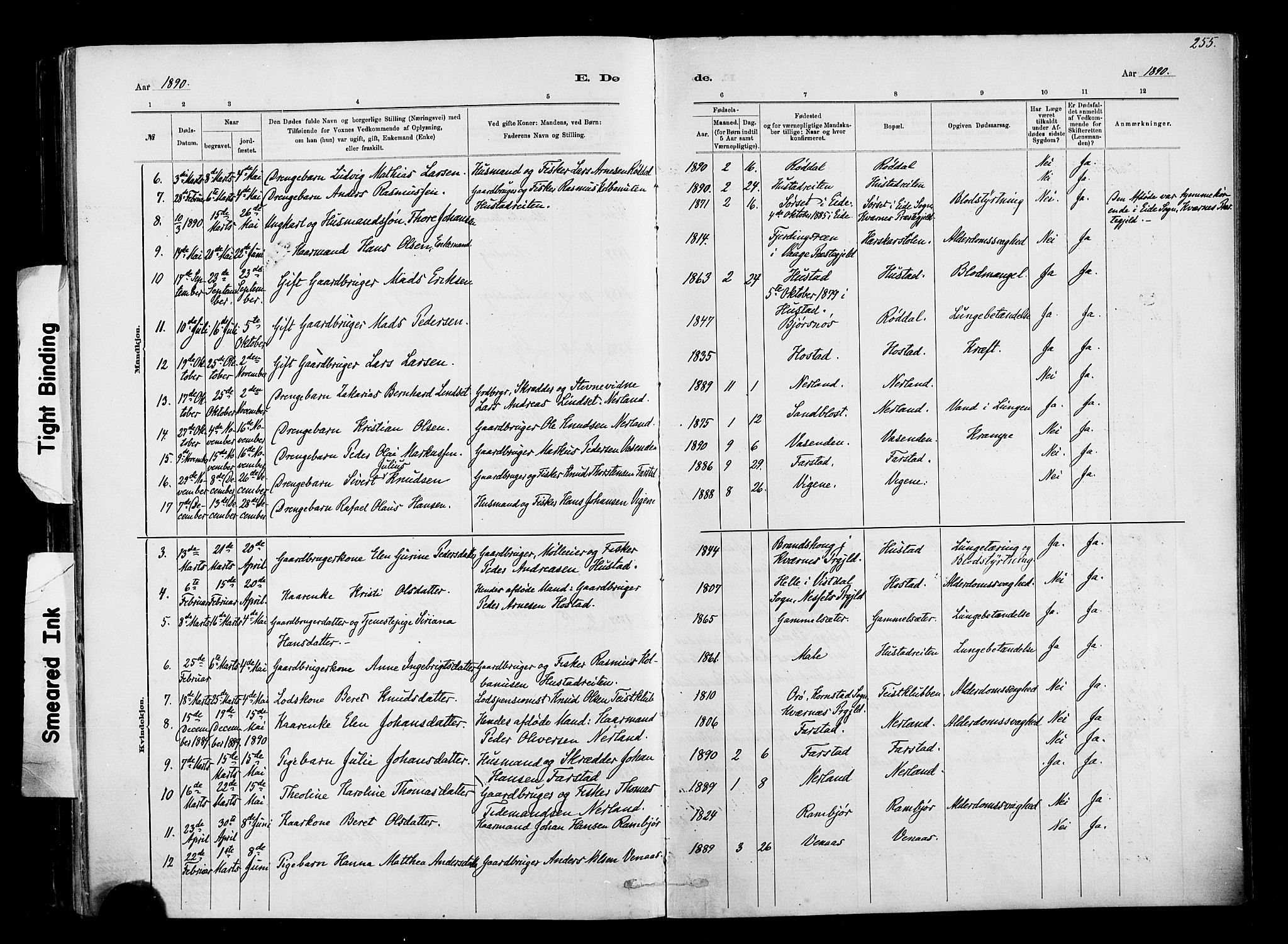 Ministerialprotokoller, klokkerbøker og fødselsregistre - Møre og Romsdal, AV/SAT-A-1454/567/L0778: Parish register (official) no. 567A01, 1881-1903, p. 255