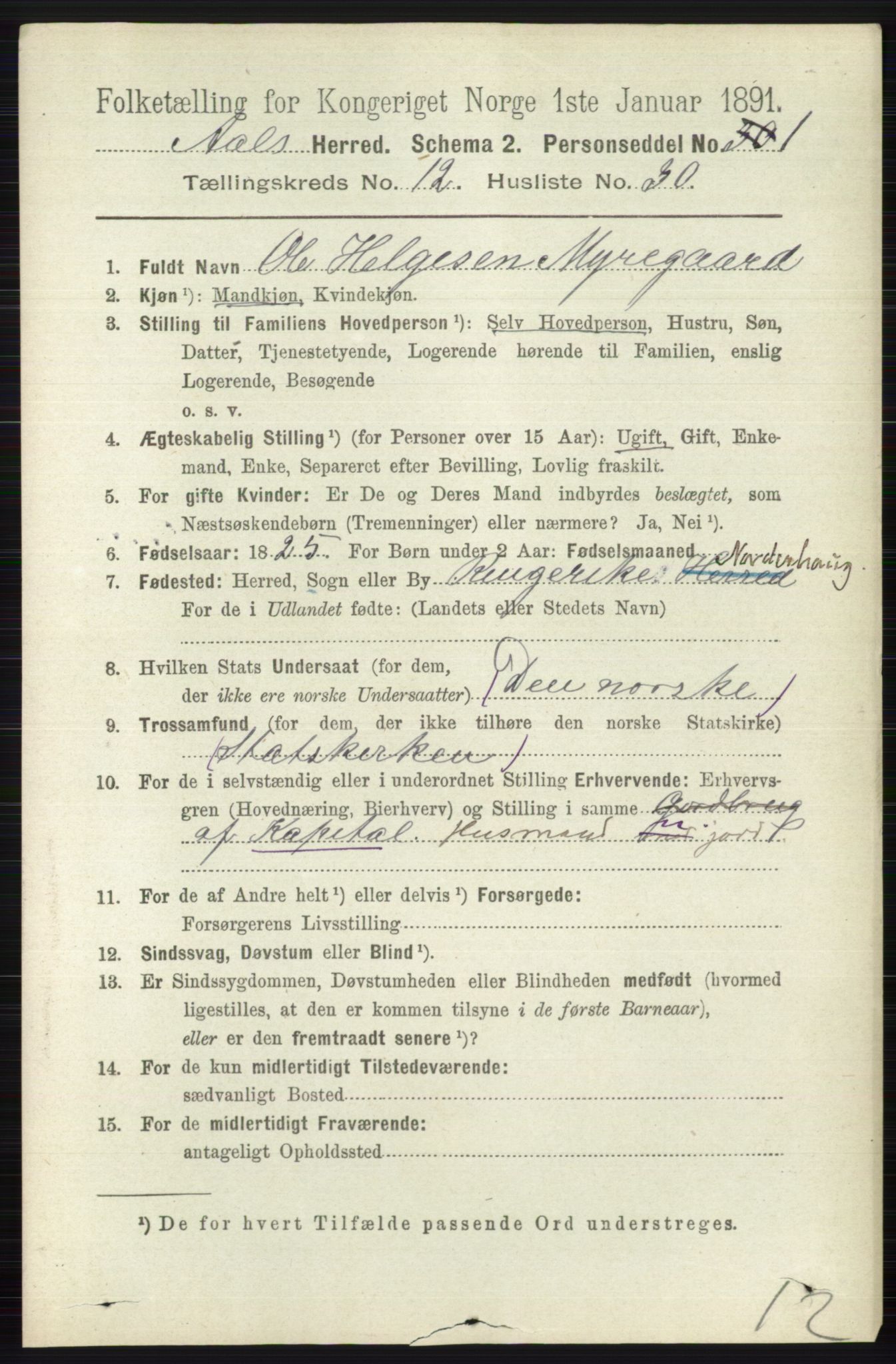 RA, 1891 census for 0619 Ål, 1891, p. 3182