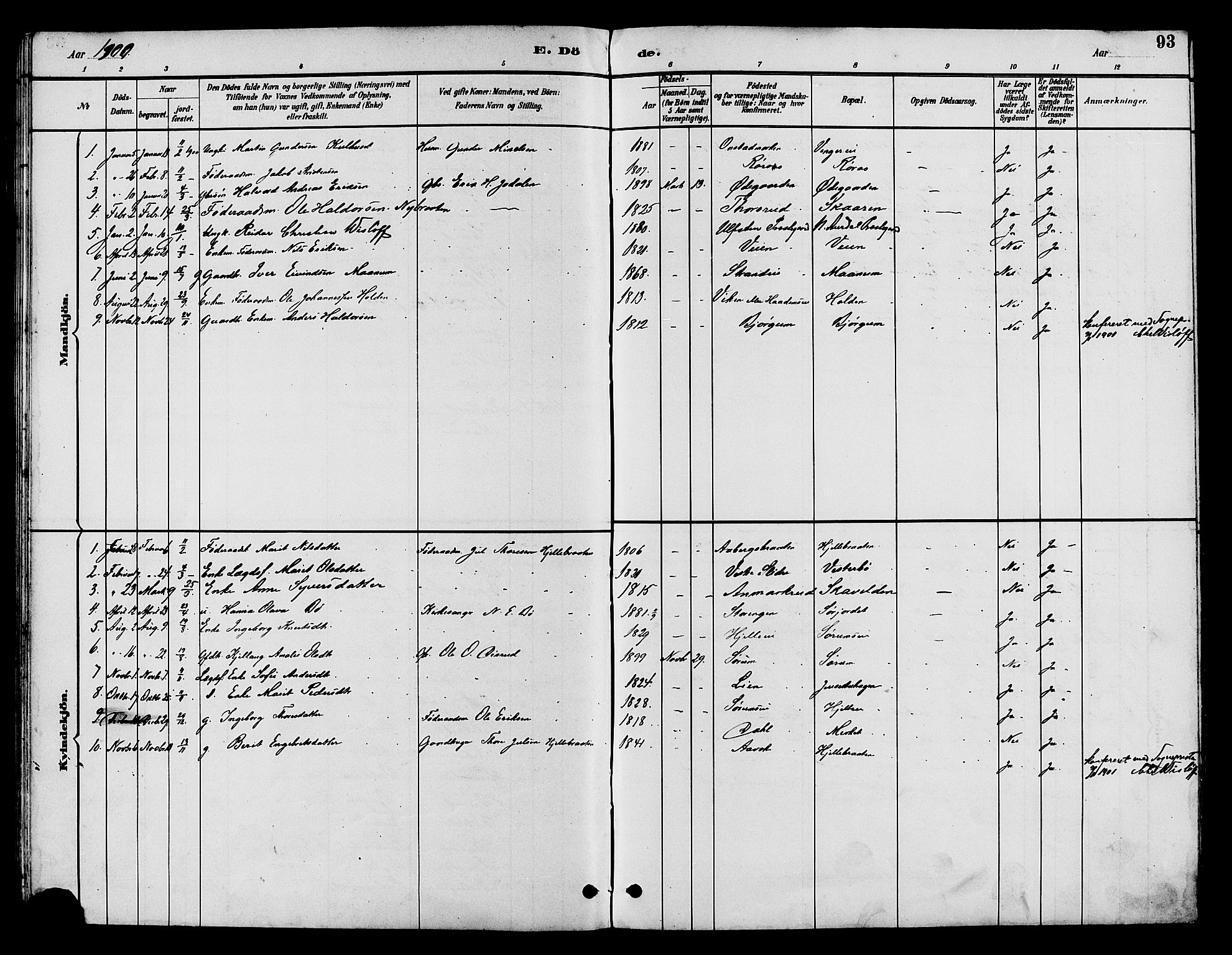 Nord-Aurdal prestekontor, AV/SAH-PREST-132/H/Ha/Hab/L0010: Parish register (copy) no. 10, 1892-1907, p. 93