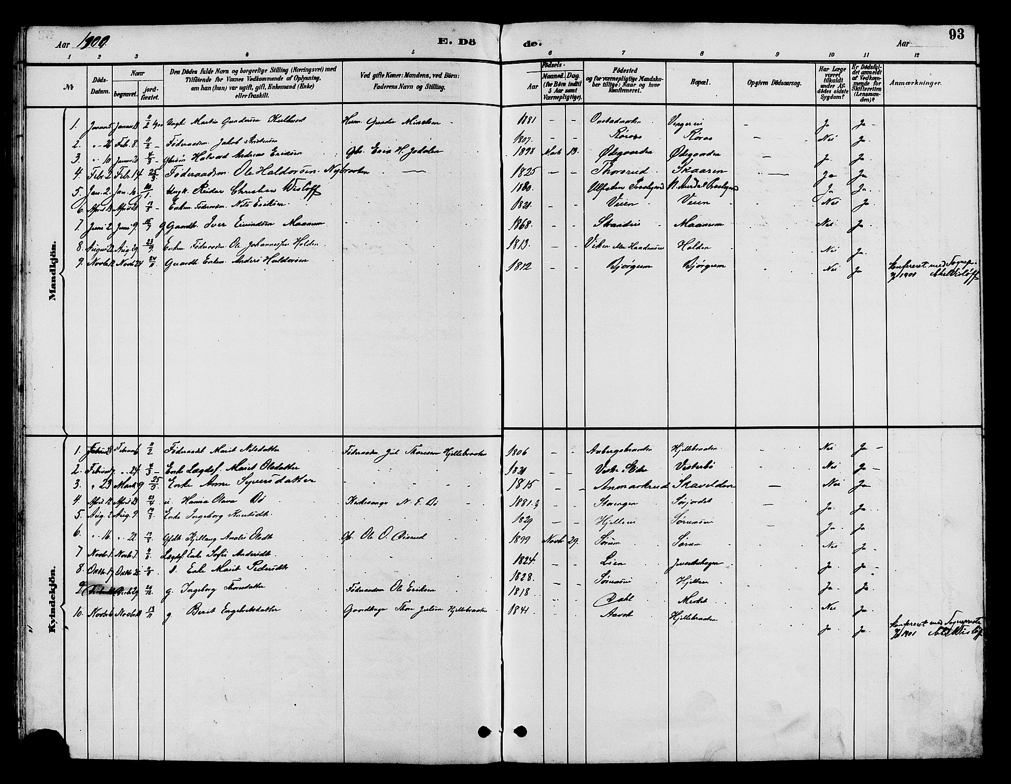 Nord-Aurdal prestekontor, SAH/PREST-132/H/Ha/Hab/L0010: Parish register (copy) no. 10, 1892-1907, p. 93