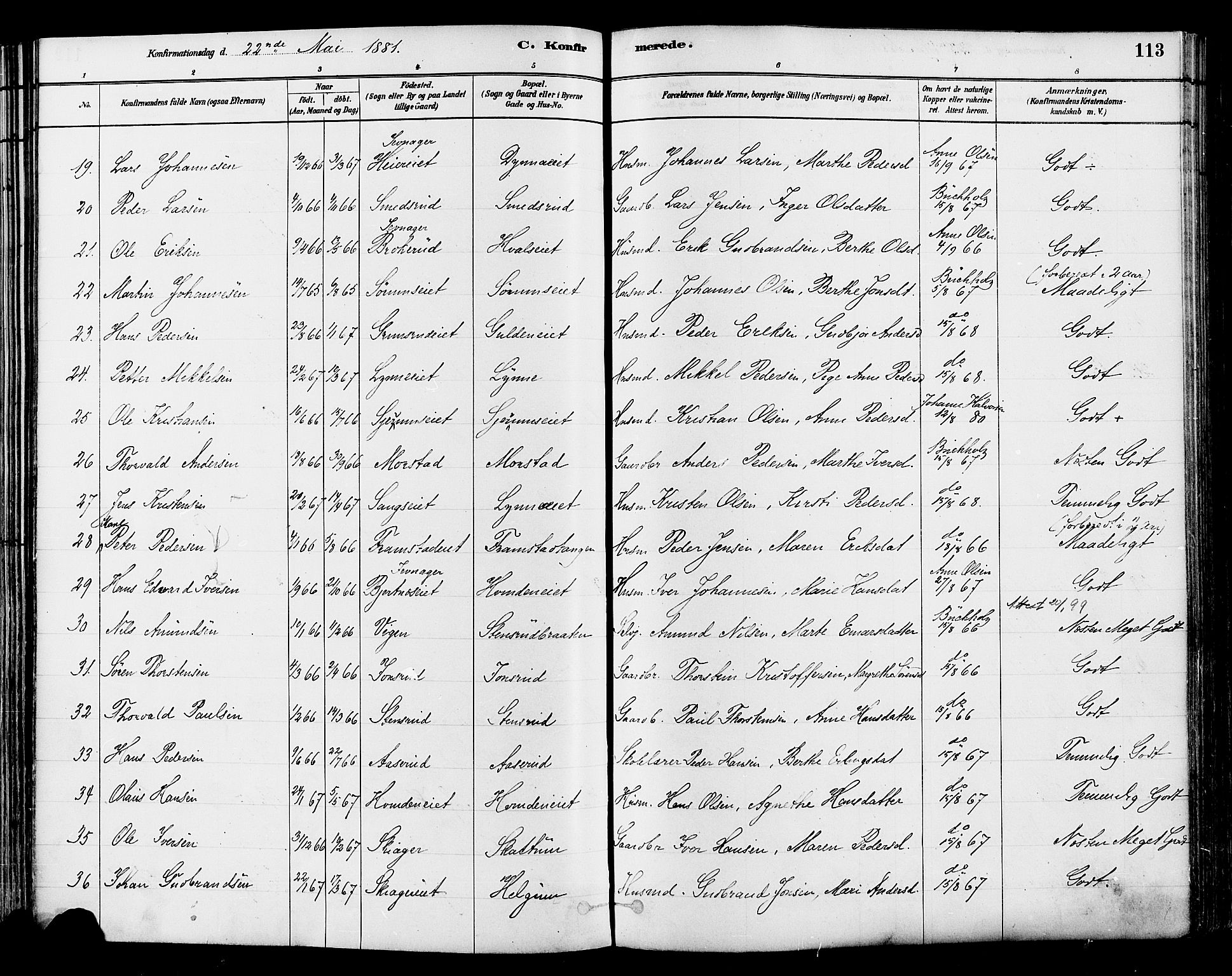 Gran prestekontor, SAH/PREST-112/H/Ha/Haa/L0014: Parish register (official) no. 14, 1880-1889, p. 113