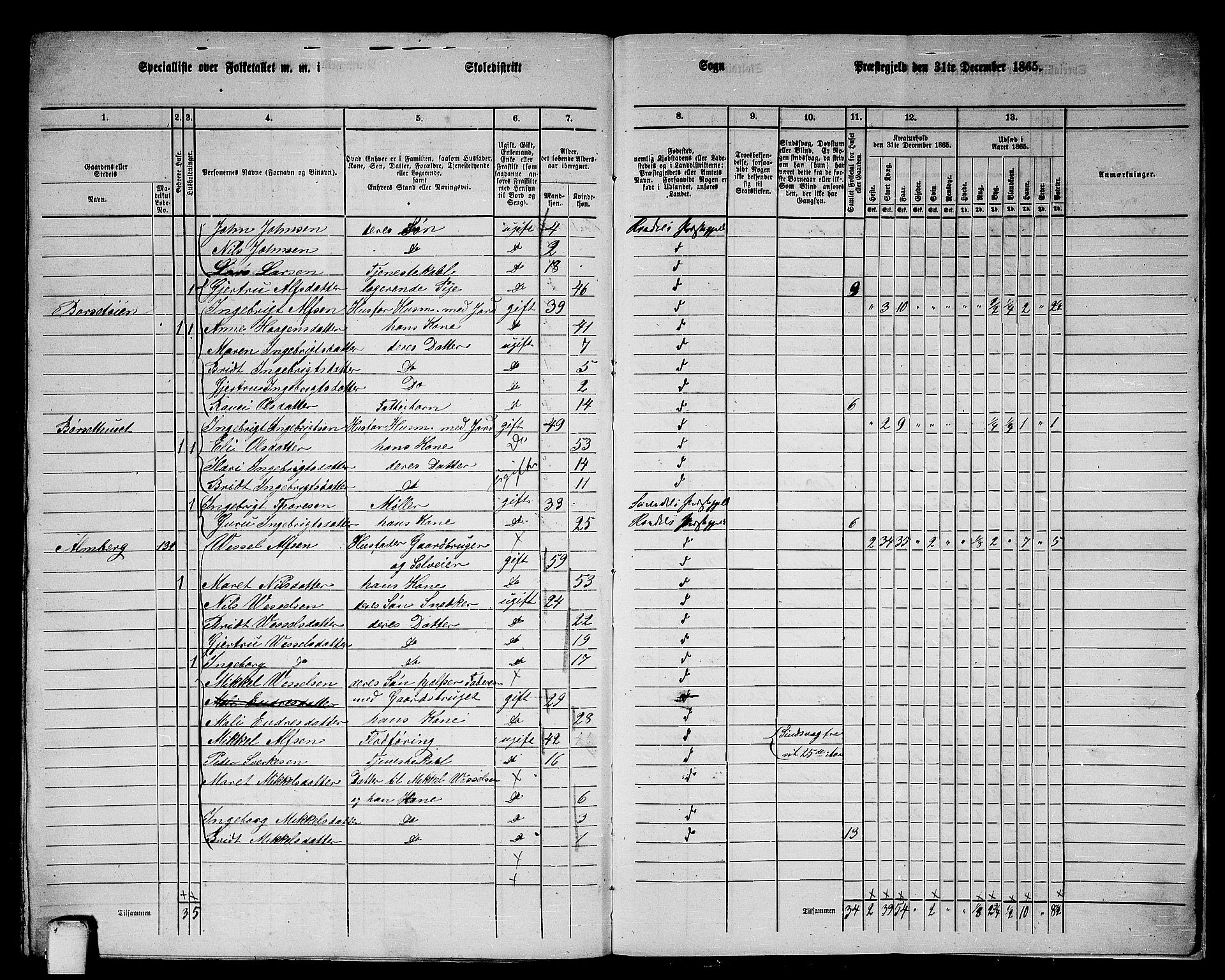 RA, 1865 census for Rindal, 1865, p. 106