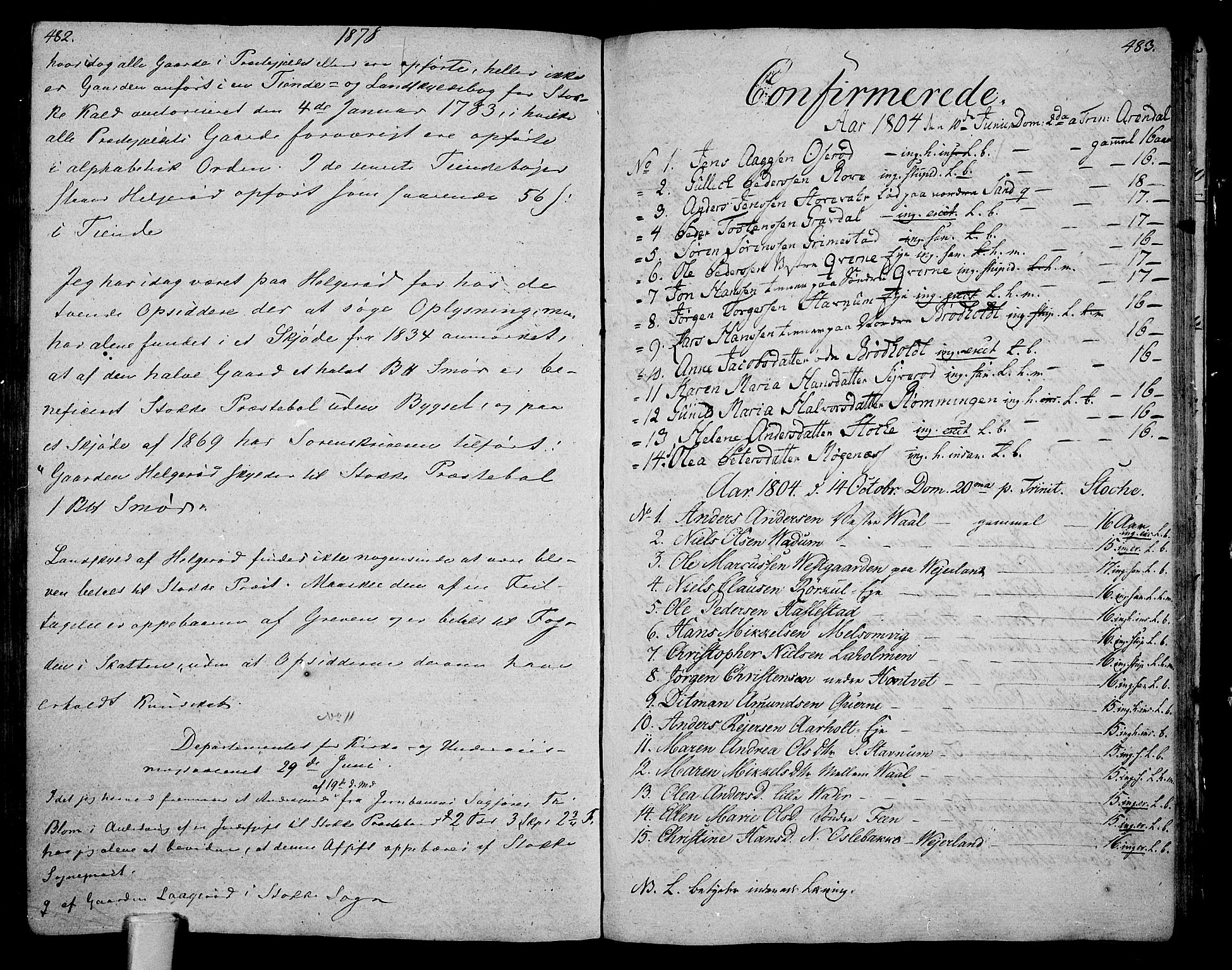 Stokke kirkebøker, AV/SAKO-A-320/F/Fa/L0004: Parish register (official) no. I 4, 1804-1815, p. 482-483