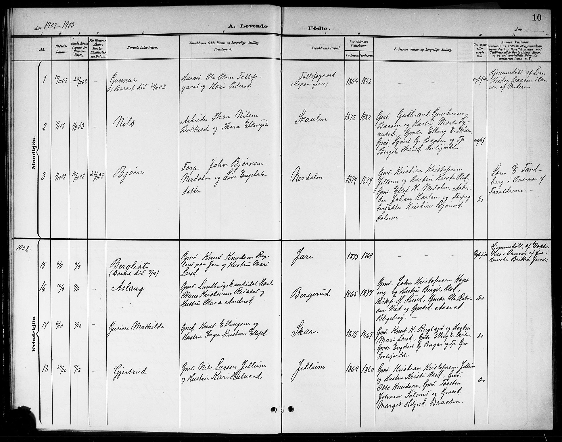 Sigdal kirkebøker, SAKO/A-245/G/Gb/L0003: Parish register (copy) no. II 3, 1901-1916, p. 10