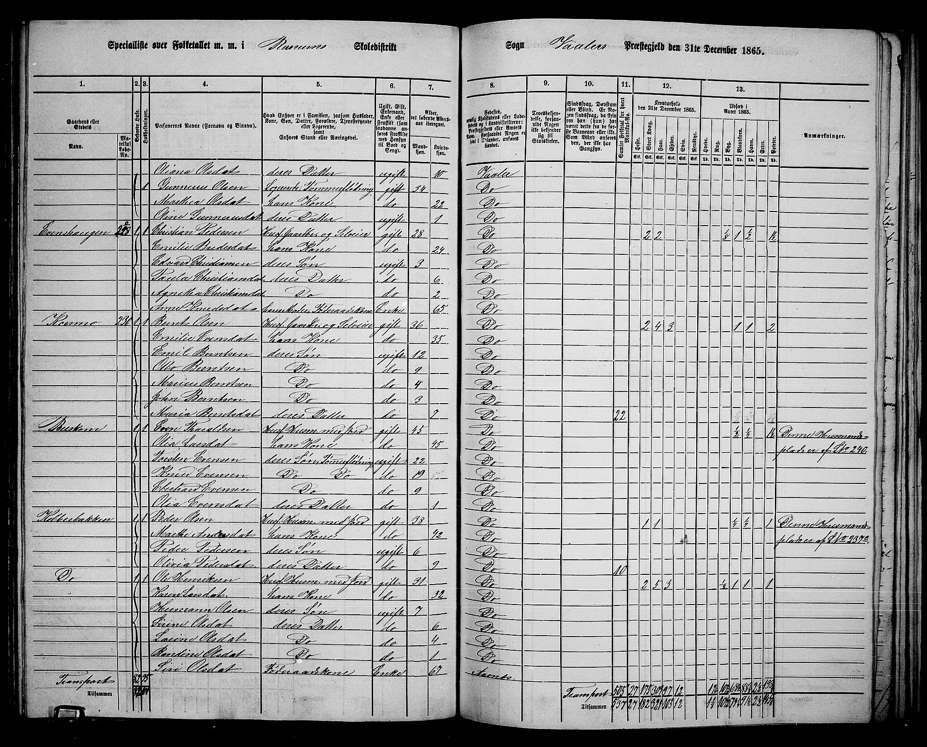 RA, 1865 census for Våler, 1865, p. 129