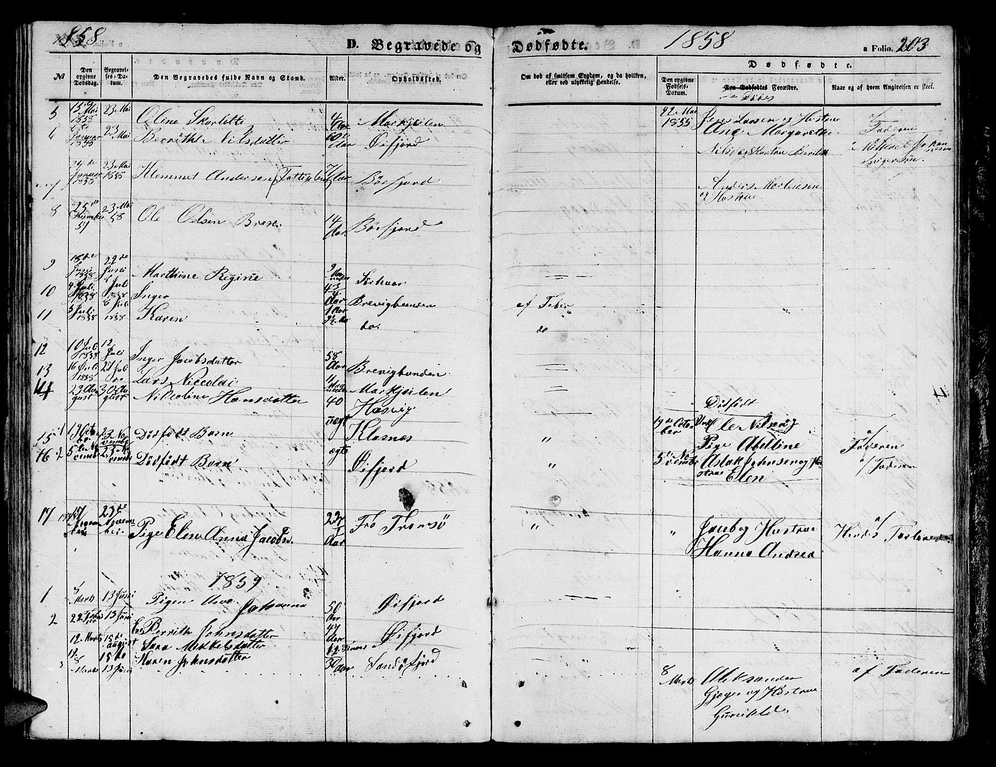 Loppa sokneprestkontor, SATØ/S-1339/H/Hb/L0003klokker: Parish register (copy) no. 3, 1853-1880, p. 203