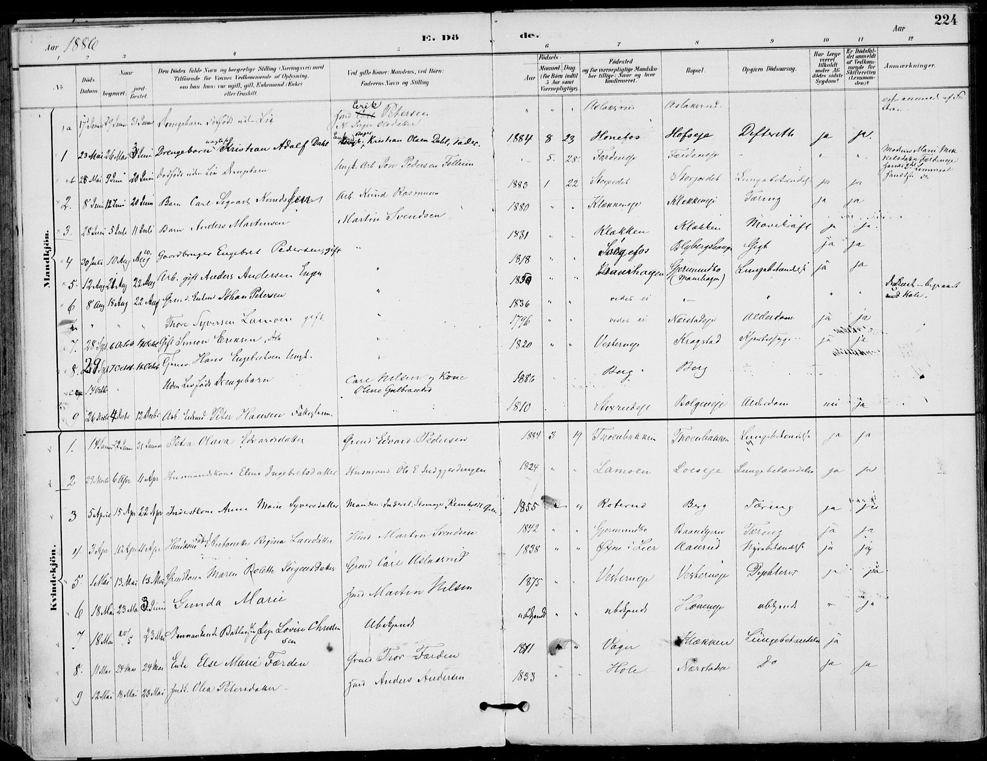 Haug kirkebøker, AV/SAKO-A-604/F/Fa/L0001: Parish register (official) no. 1, 1885-1917, p. 224