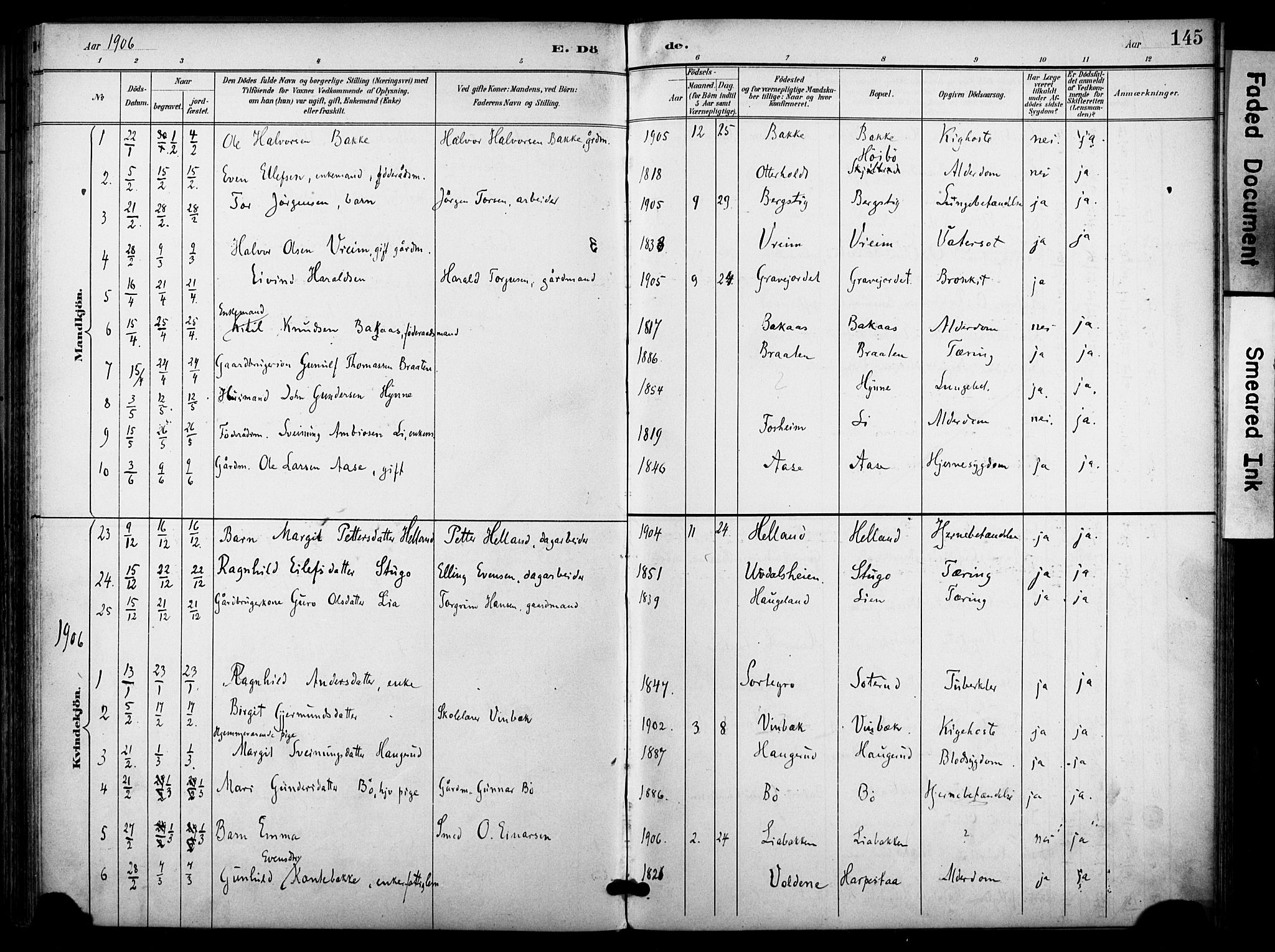 Bø kirkebøker, SAKO/A-257/F/Fa/L0012: Parish register (official) no. 12, 1900-1908, p. 145