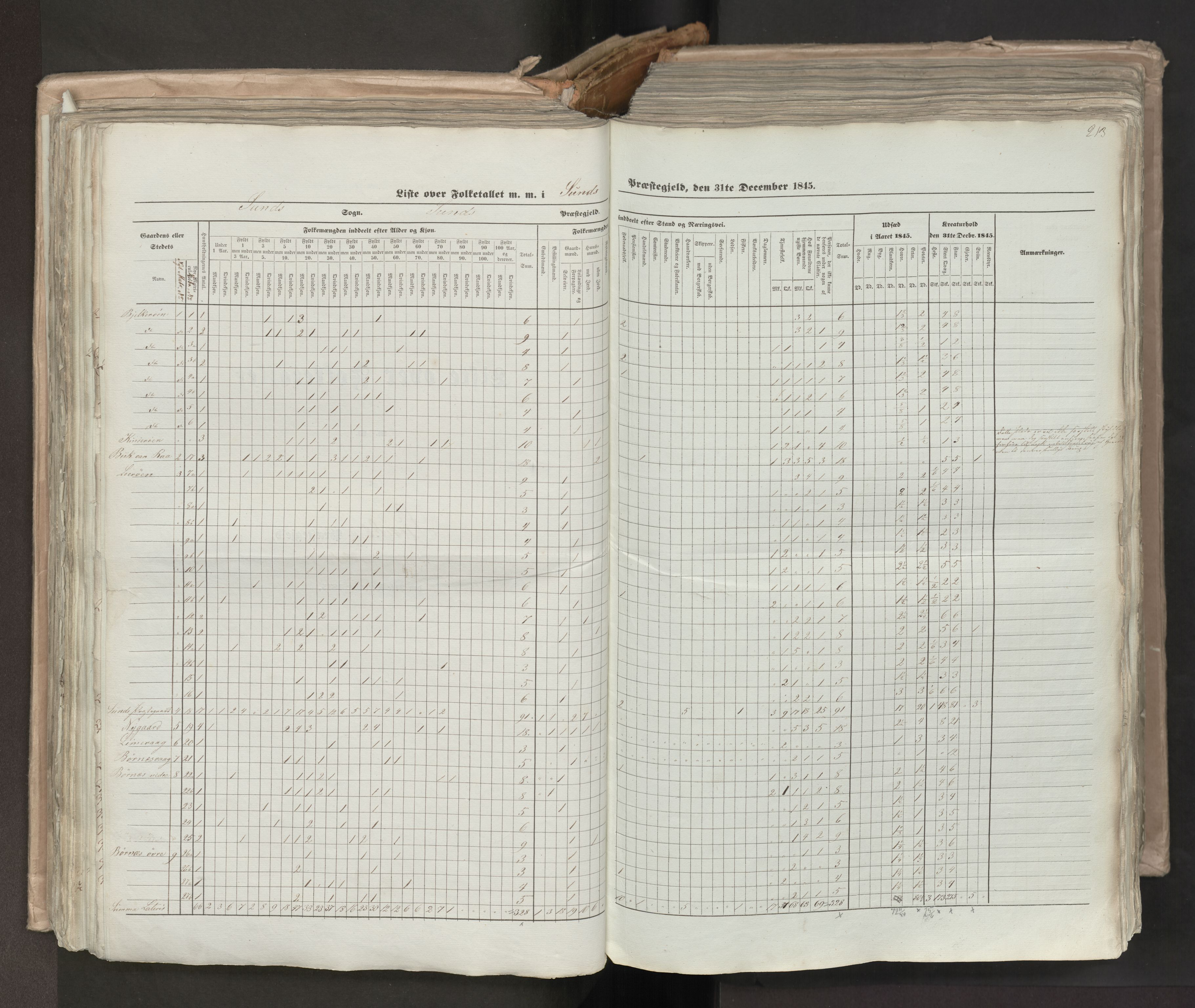 RA, Census 1845, vol. 7: Søndre Bergenhus amt og Nordre Bergenhus amt, 1845, p. 213