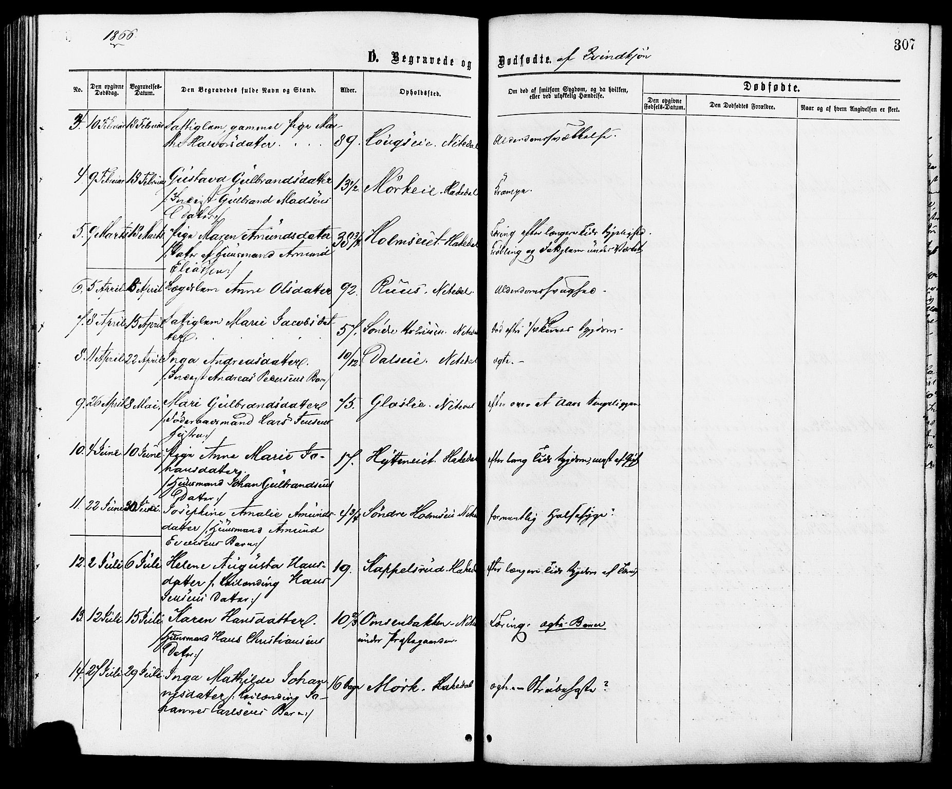 Nittedal prestekontor Kirkebøker, AV/SAO-A-10365a/F/Fa/L0006: Parish register (official) no. I 6, 1863-1878, p. 307