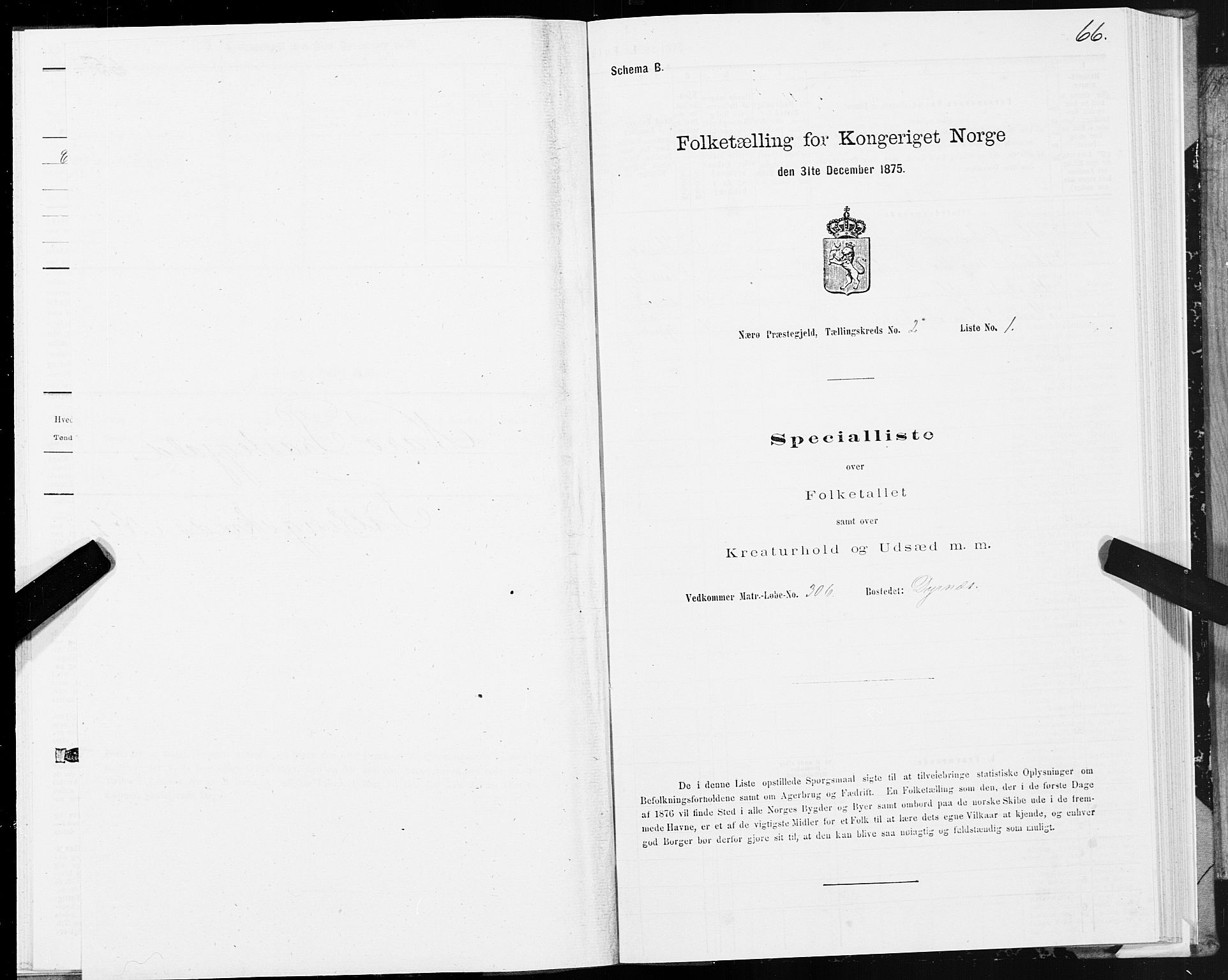 SAT, 1875 census for 1751P Nærøy, 1875, p. 1066