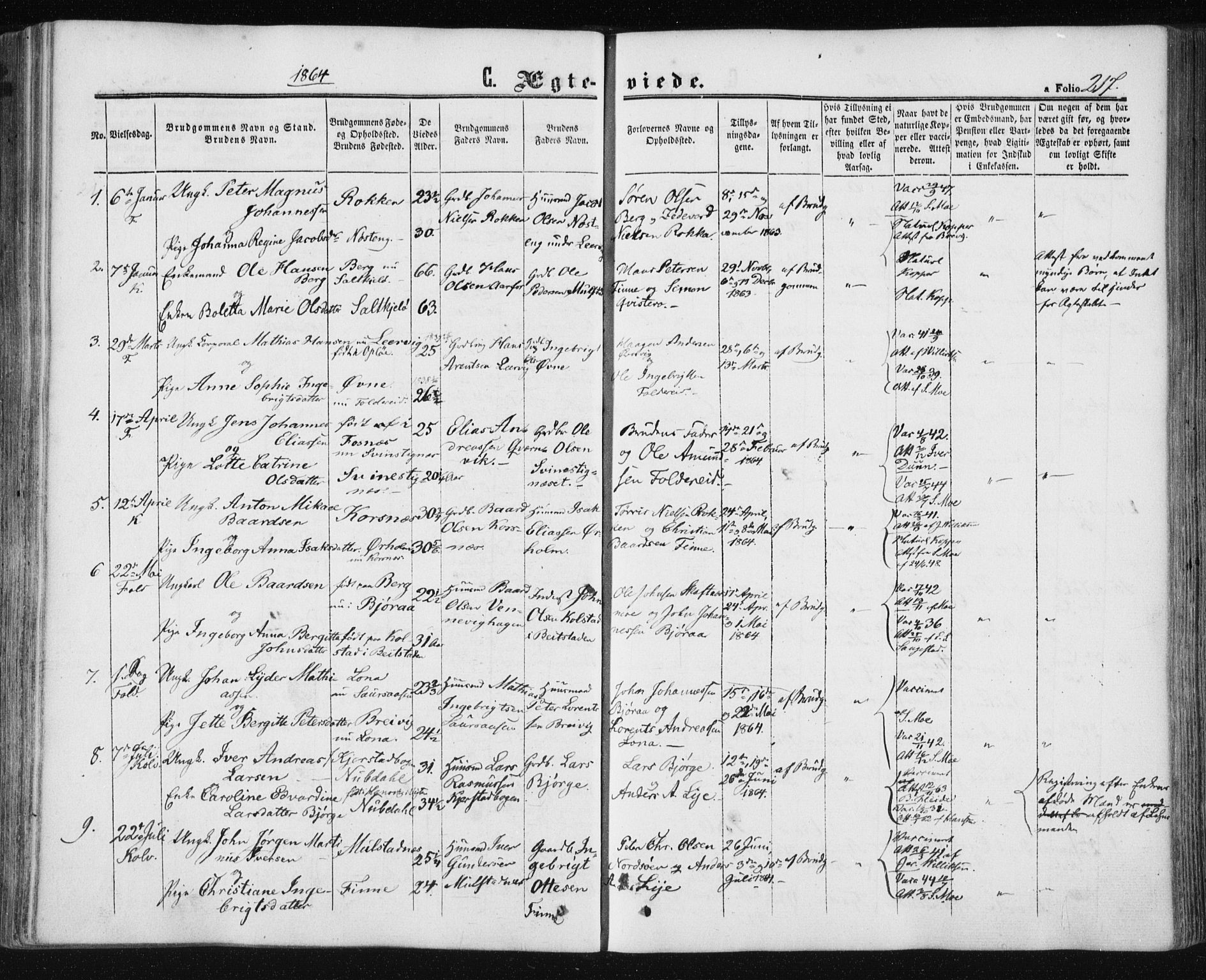Ministerialprotokoller, klokkerbøker og fødselsregistre - Nord-Trøndelag, SAT/A-1458/780/L0641: Parish register (official) no. 780A06, 1857-1874, p. 217