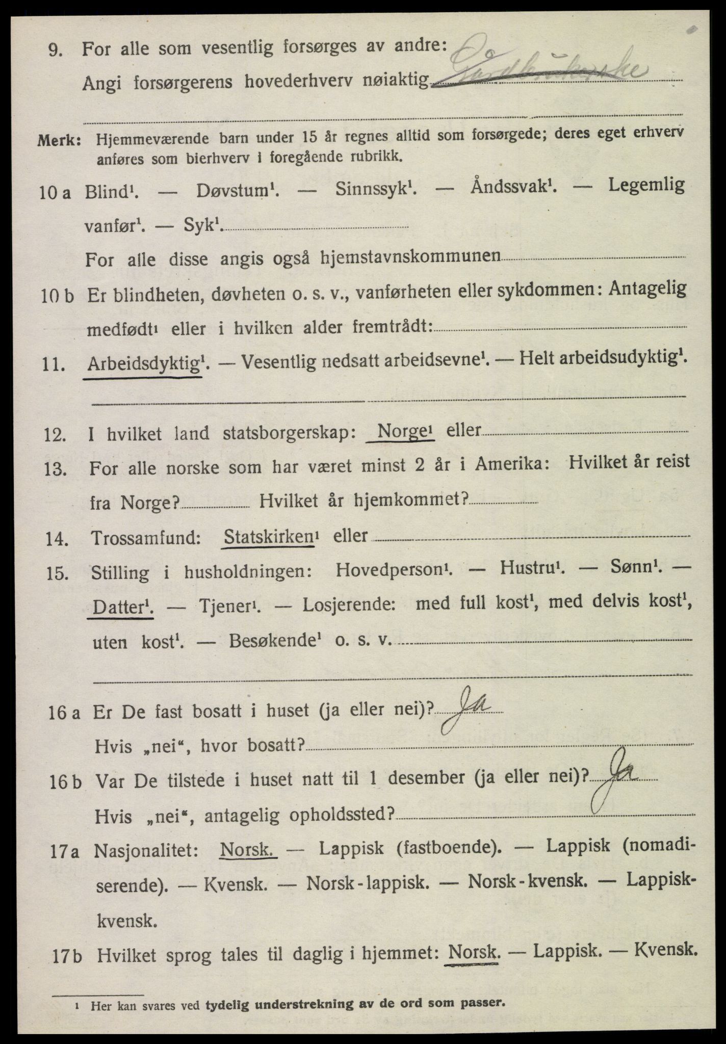 SAT, 1920 census for Selbu, 1920, p. 10215