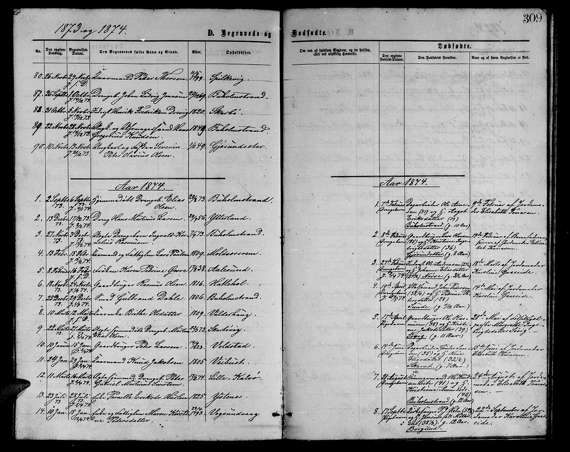 Ministerialprotokoller, klokkerbøker og fødselsregistre - Møre og Romsdal, AV/SAT-A-1454/528/L0428: Parish register (copy) no. 528C09, 1864-1880, p. 309