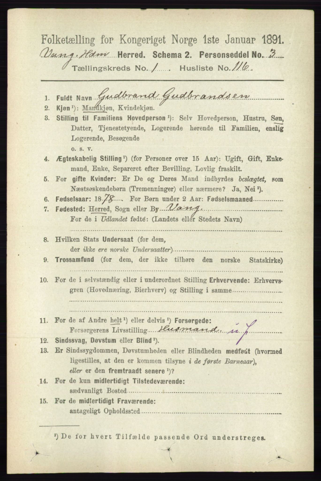 RA, 1891 census for 0414 Vang, 1891, p. 917