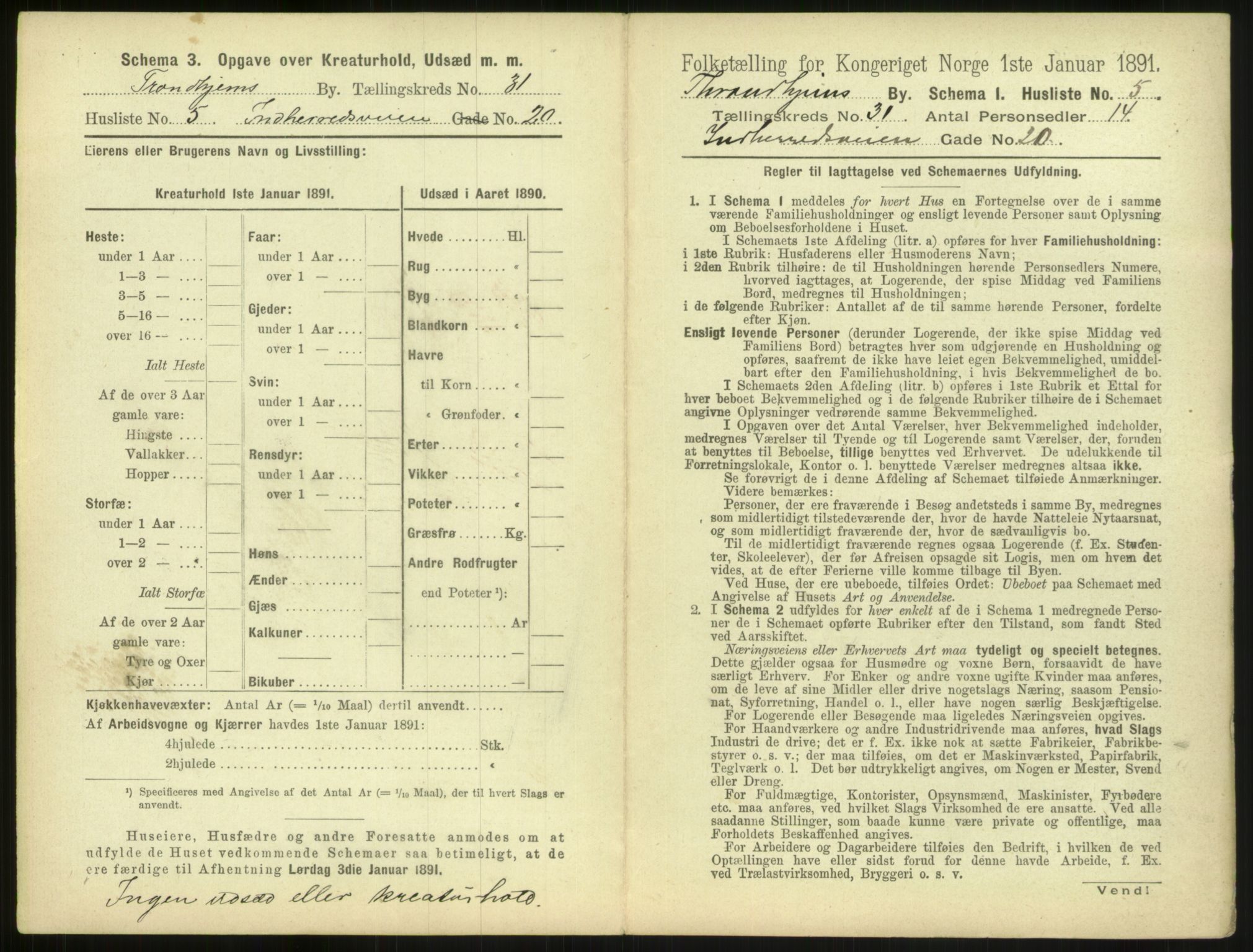 RA, 1891 census for 1601 Trondheim, 1891, p. 2320