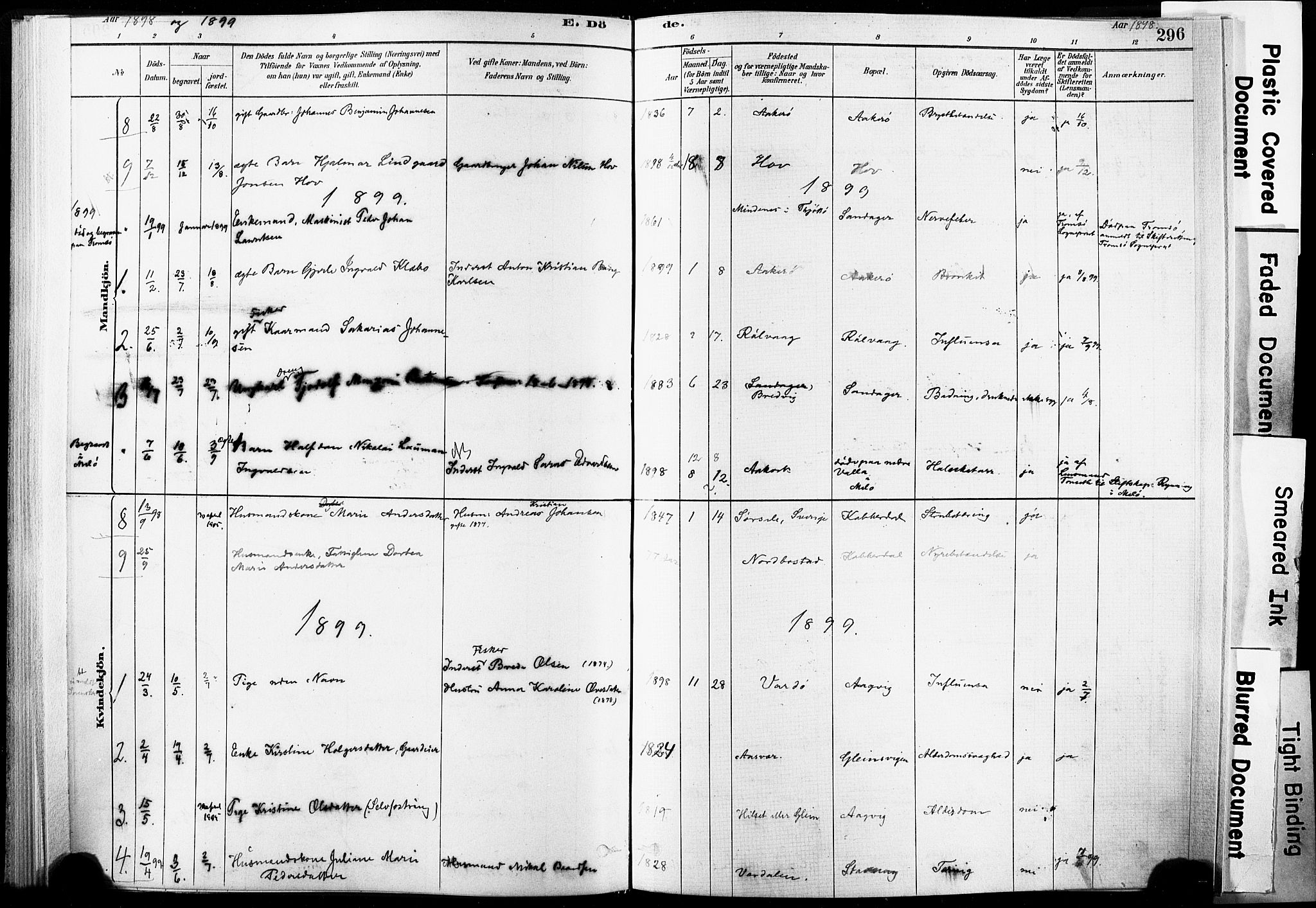 Ministerialprotokoller, klokkerbøker og fødselsregistre - Nordland, AV/SAT-A-1459/835/L0526: Parish register (official) no. 835A03II, 1881-1910, p. 296