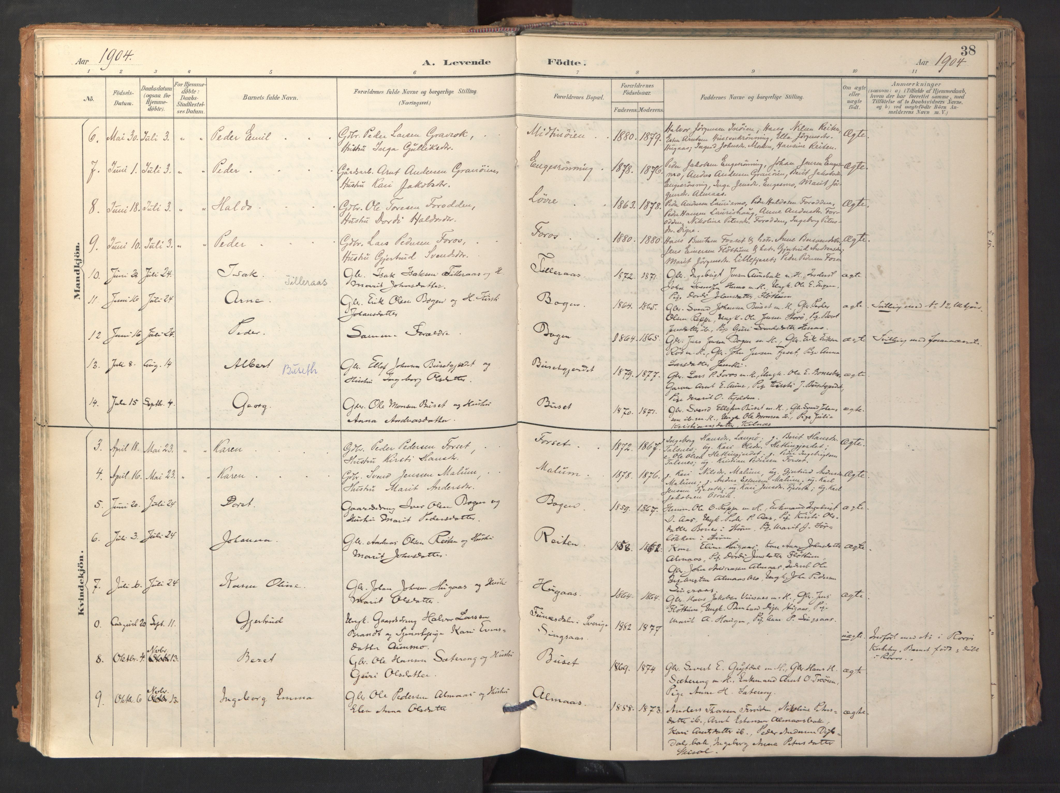 Ministerialprotokoller, klokkerbøker og fødselsregistre - Sør-Trøndelag, SAT/A-1456/688/L1025: Parish register (official) no. 688A02, 1891-1909, p. 38