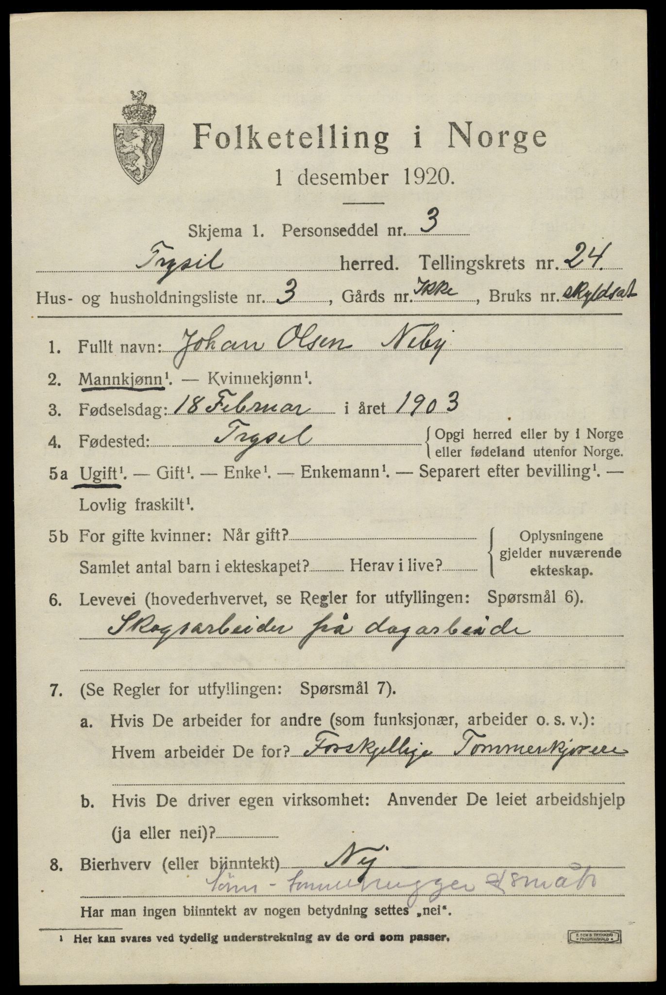 SAH, 1920 census for Trysil, 1920, p. 15237