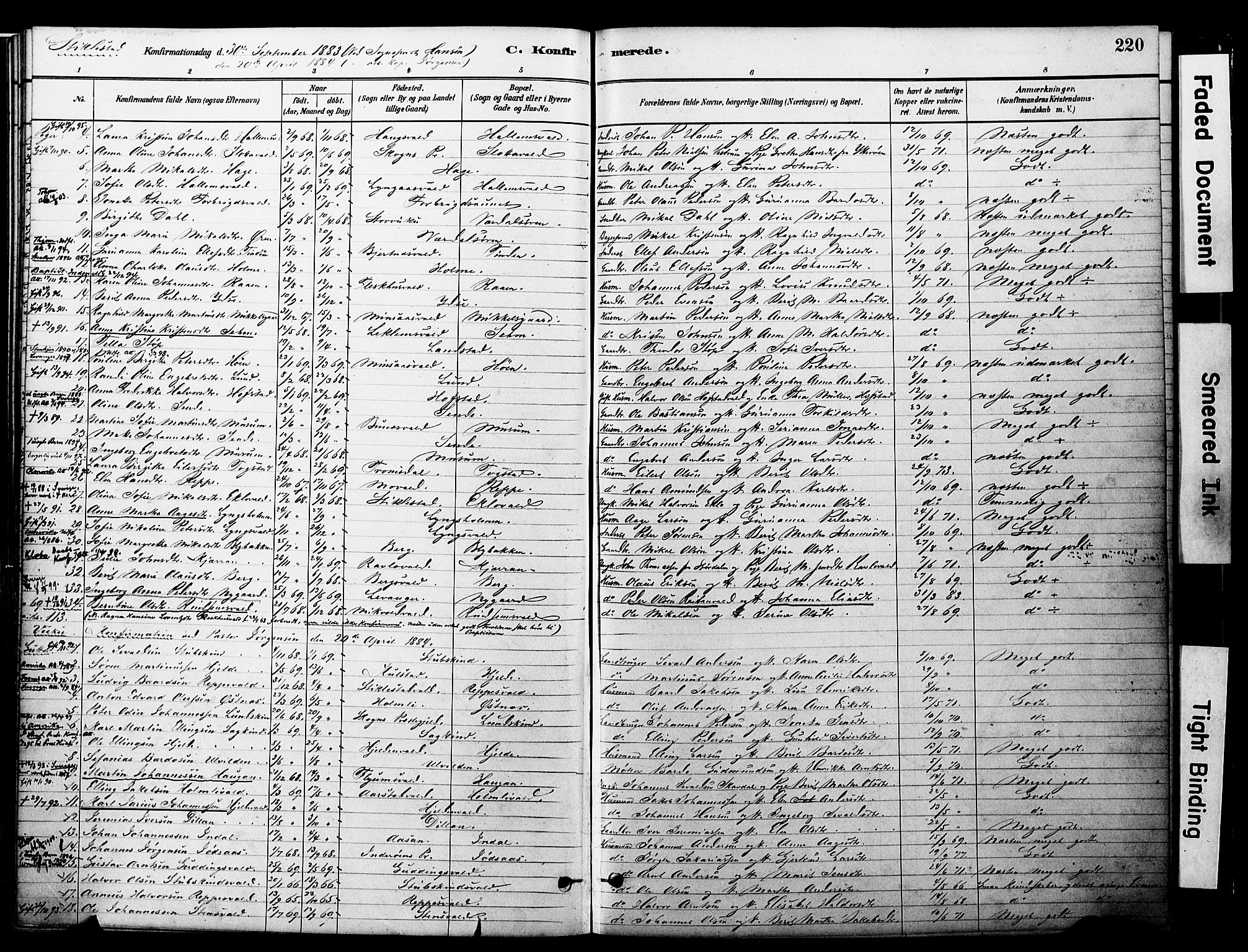 Ministerialprotokoller, klokkerbøker og fødselsregistre - Nord-Trøndelag, SAT/A-1458/723/L0244: Parish register (official) no. 723A13, 1881-1899, p. 220