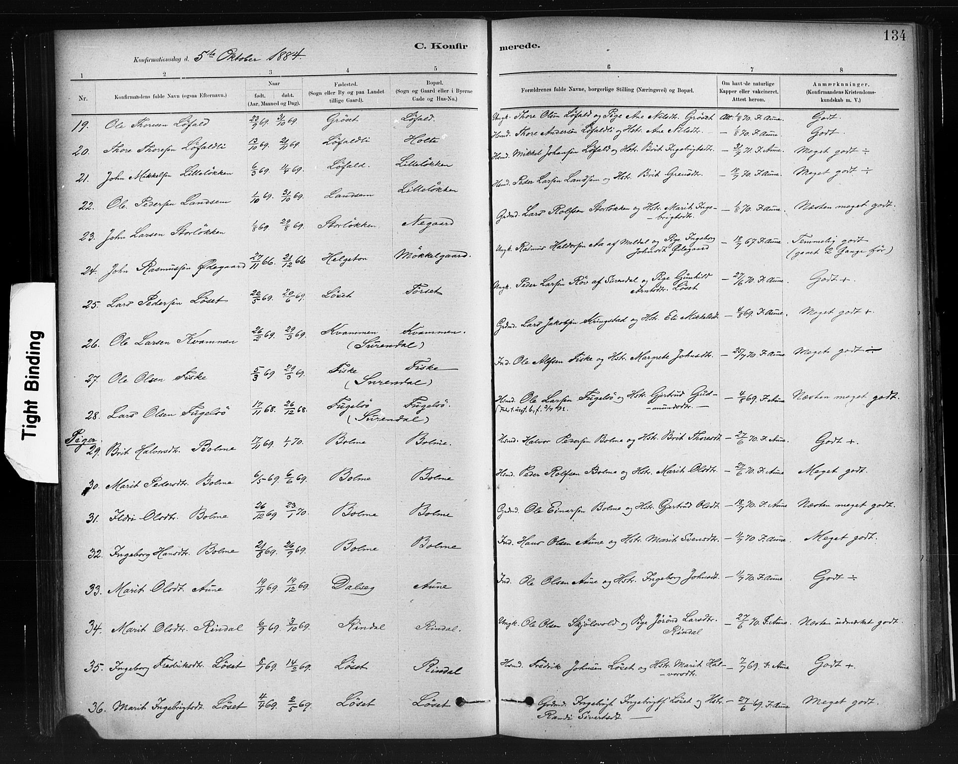 Ministerialprotokoller, klokkerbøker og fødselsregistre - Møre og Romsdal, AV/SAT-A-1454/598/L1069: Parish register (official) no. 598A03, 1882-1895, p. 134