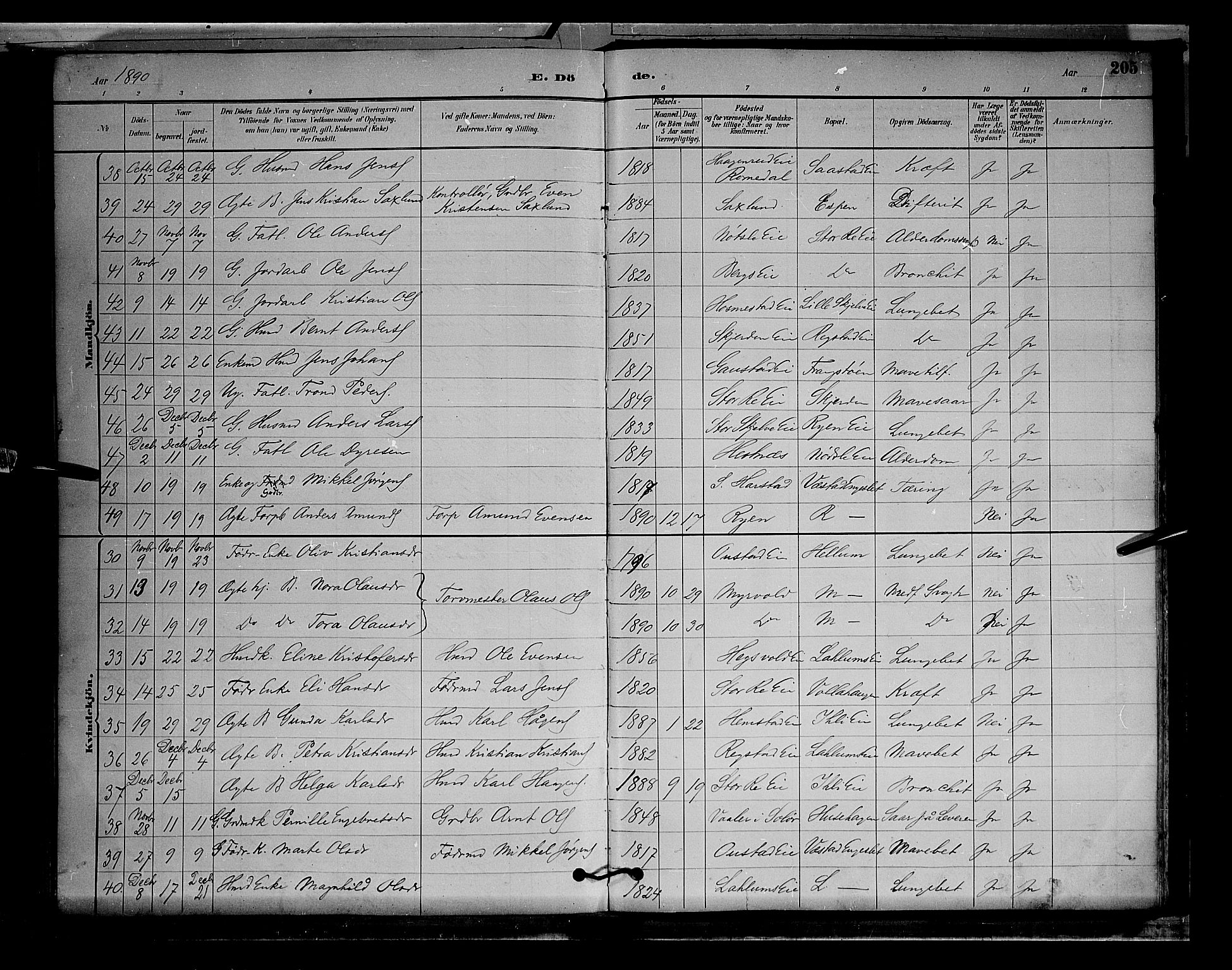 Stange prestekontor, AV/SAH-PREST-002/L/L0009: Parish register (copy) no. 9, 1883-1899, p. 205