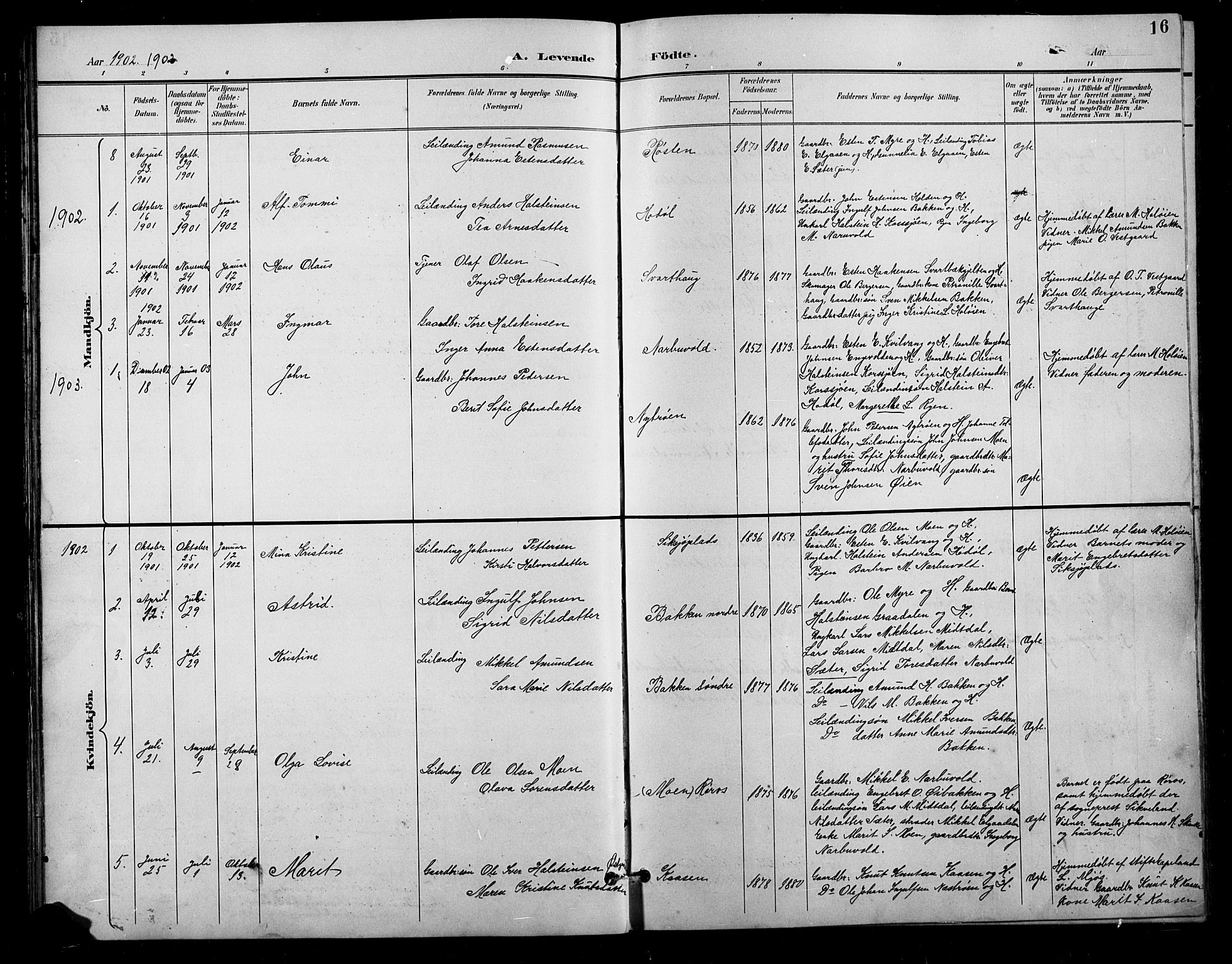 Tolga prestekontor, AV/SAH-PREST-062/L/L0011: Parish register (copy) no. 11, 1894-1925, p. 16