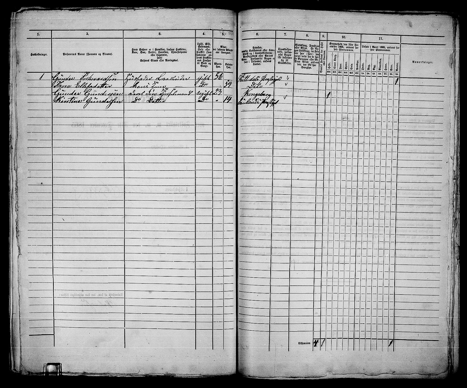 RA, 1865 census for Kongsberg/Kongsberg, 1865, p. 443