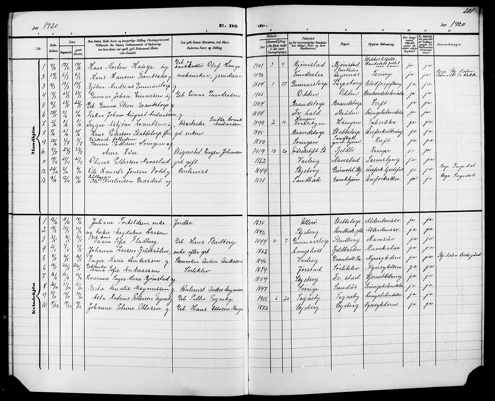 Skjeberg prestekontor Kirkebøker, SAO/A-10923/G/Ga/L0002: Parish register (copy) no. I 2, 1901-1924, p. 201