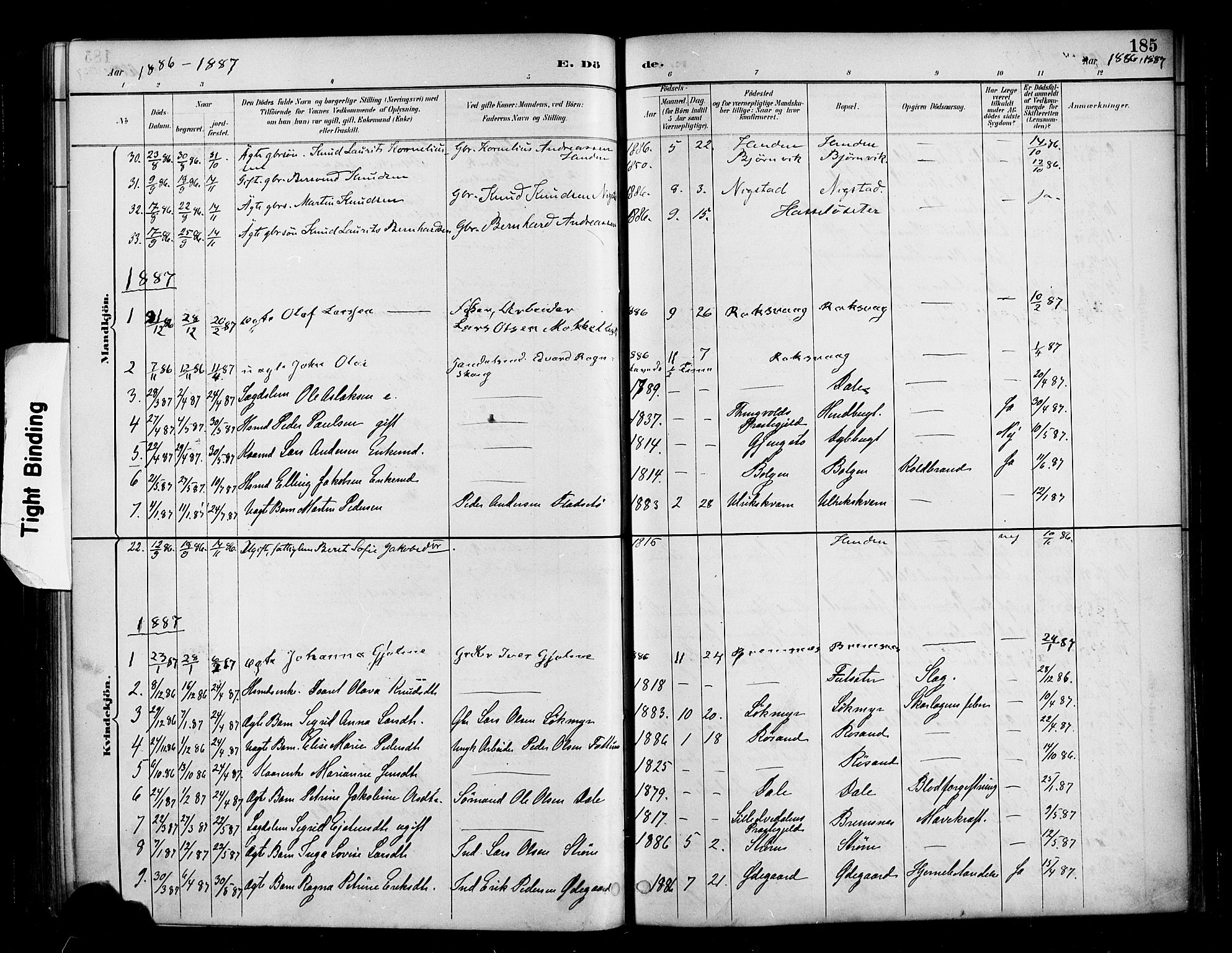 Ministerialprotokoller, klokkerbøker og fødselsregistre - Møre og Romsdal, SAT/A-1454/569/L0819: Parish register (official) no. 569A05, 1885-1899, p. 185