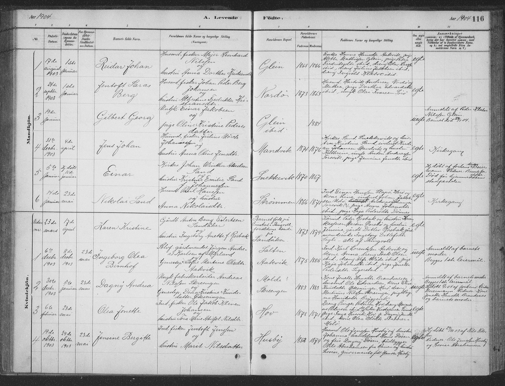 Ministerialprotokoller, klokkerbøker og fødselsregistre - Nordland, SAT/A-1459/835/L0532: Parish register (copy) no. 835C04, 1880-1905, p. 116
