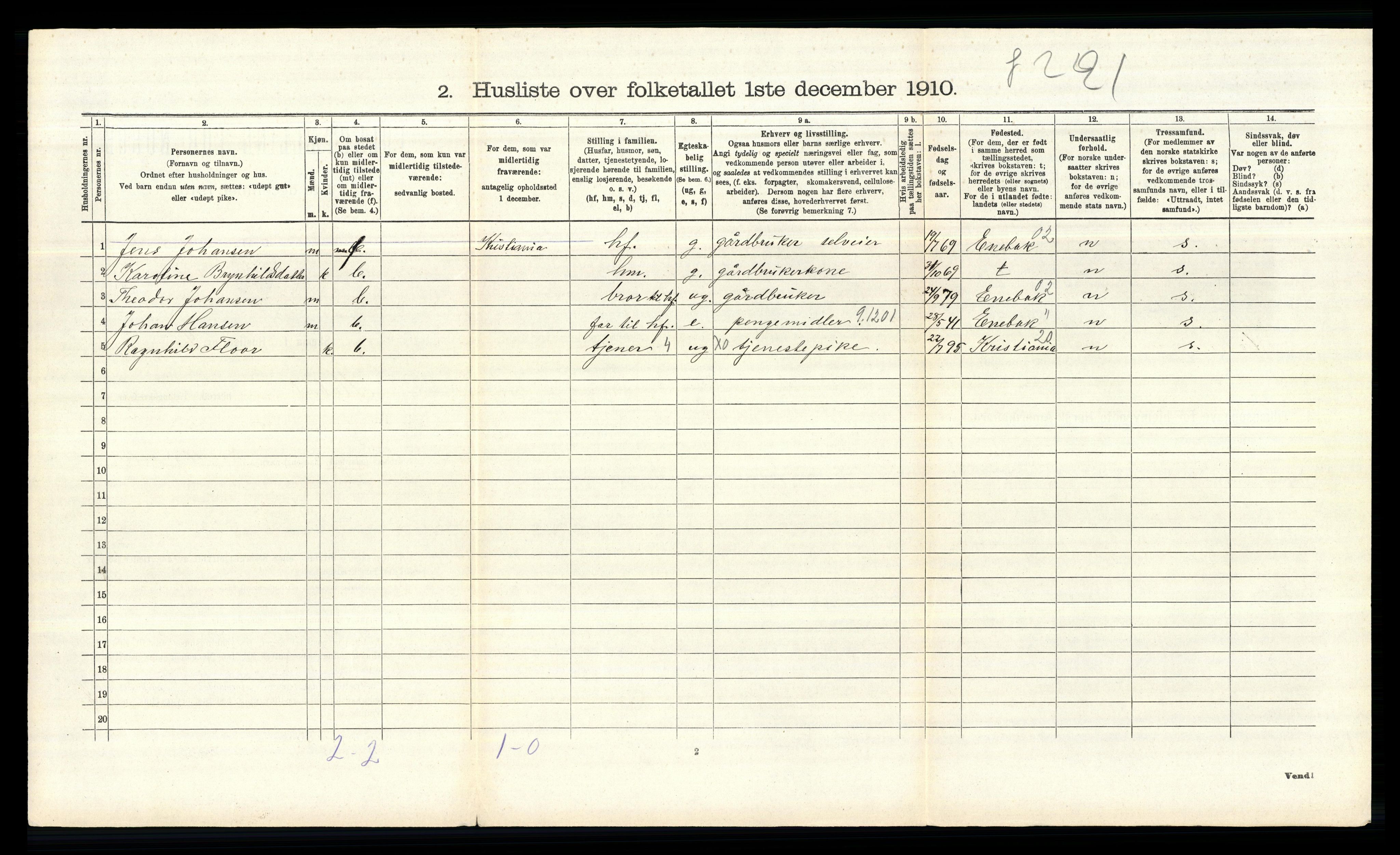 RA, 1910 census for Hobøl, 1910, p. 313