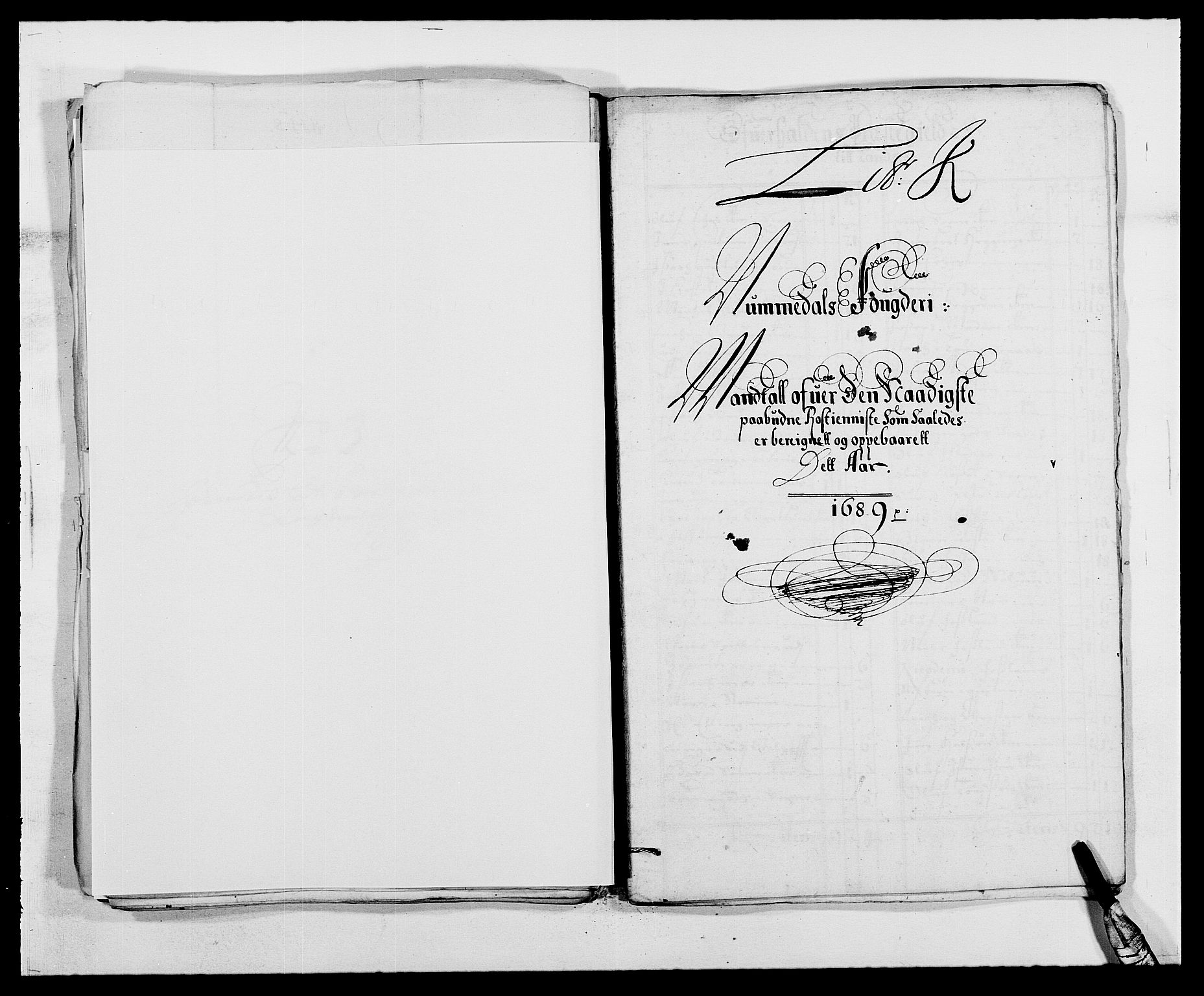 Rentekammeret inntil 1814, Reviderte regnskaper, Fogderegnskap, RA/EA-4092/R64/L4422: Fogderegnskap Namdal, 1687-1689, p. 249