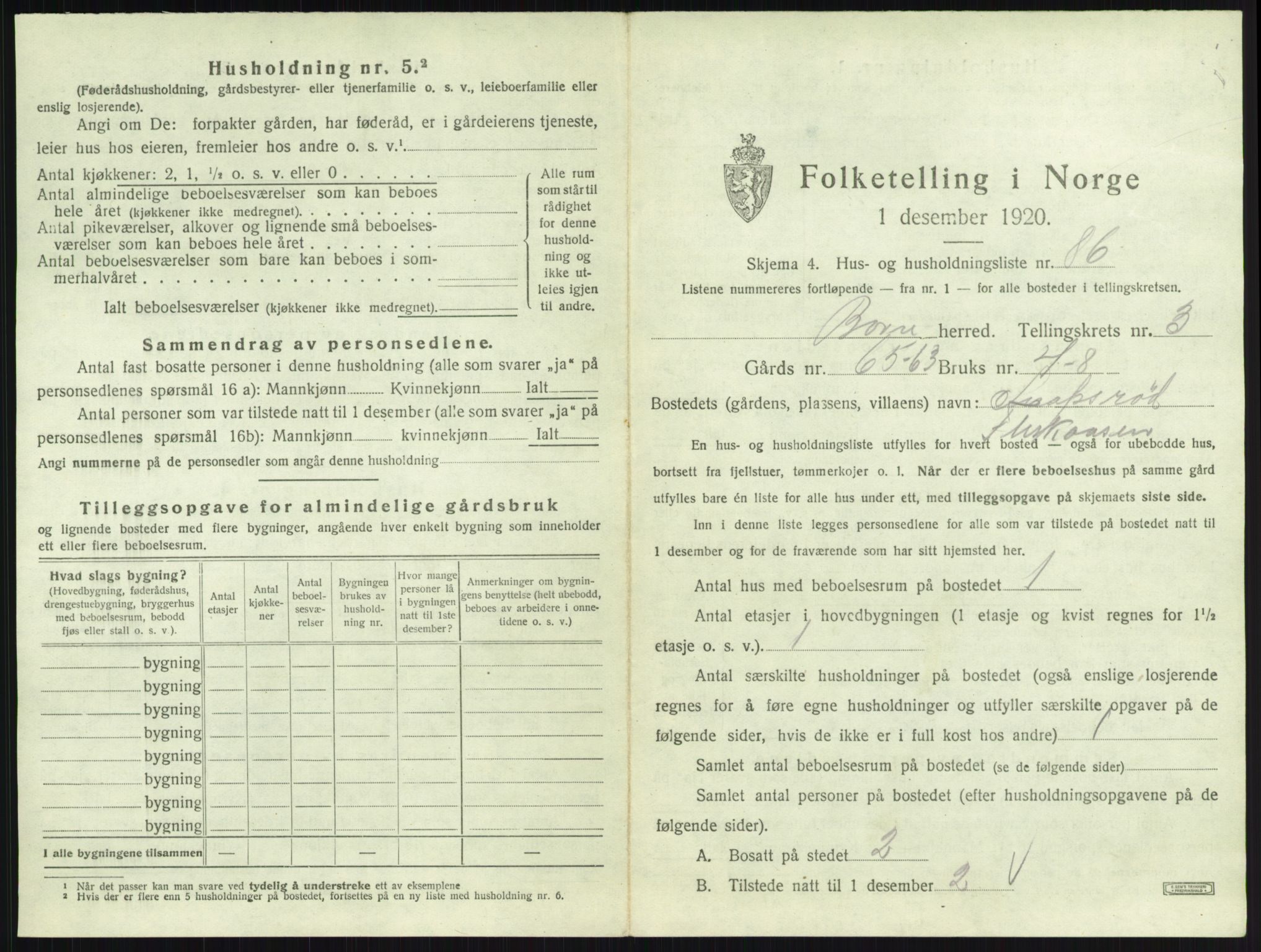 SAKO, 1920 census for Borre, 1920, p. 975