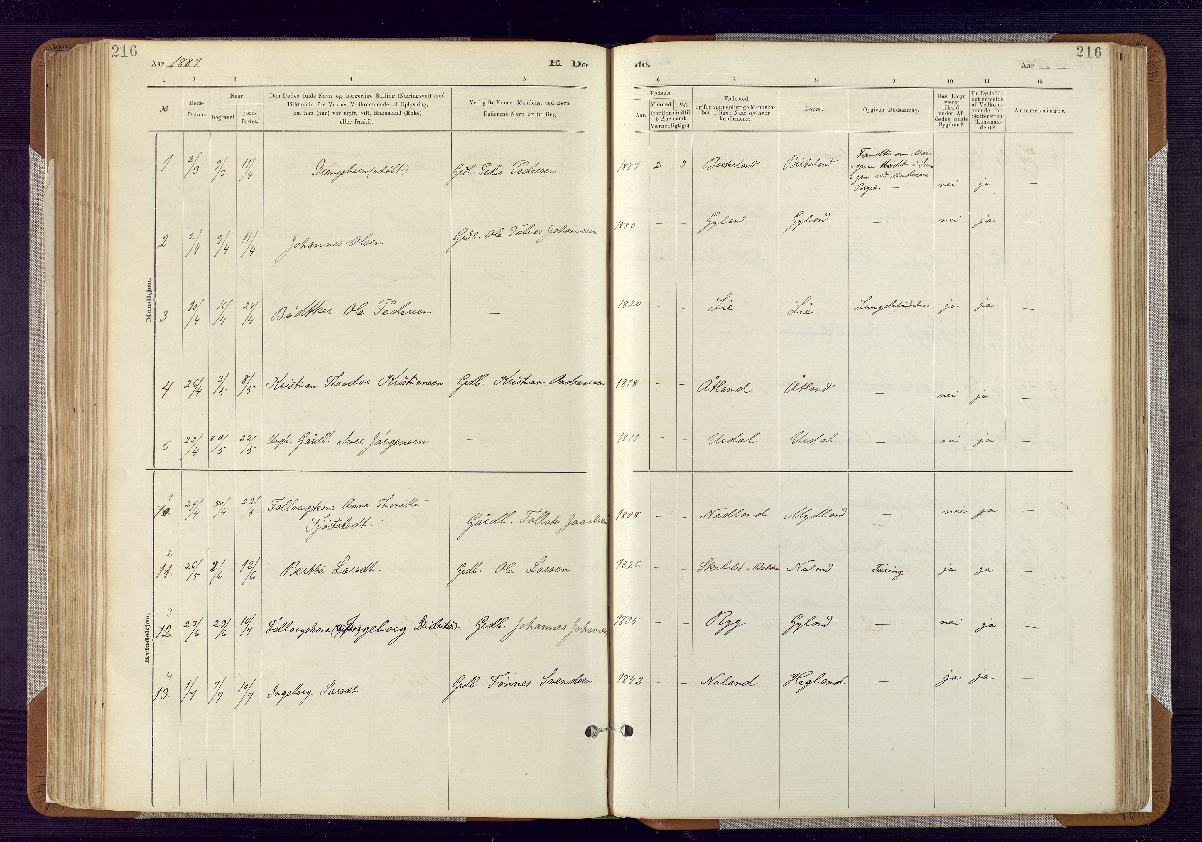 Bakke sokneprestkontor, AV/SAK-1111-0002/F/Fa/Fab/L0003: Parish register (official) no. A 3, 1884-1921, p. 216