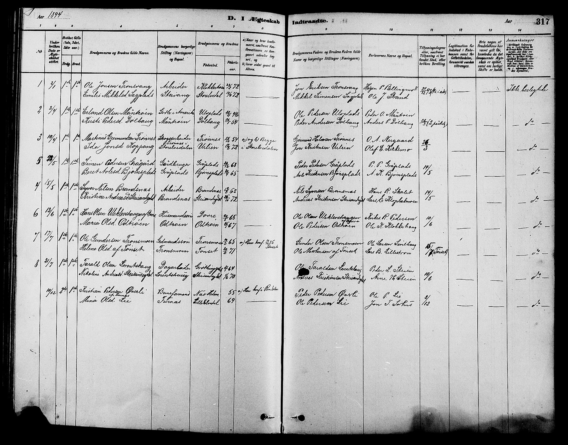 Alvdal prestekontor, SAH/PREST-060/H/Ha/Hab/L0003: Parish register (copy) no. 3, 1878-1907, p. 317