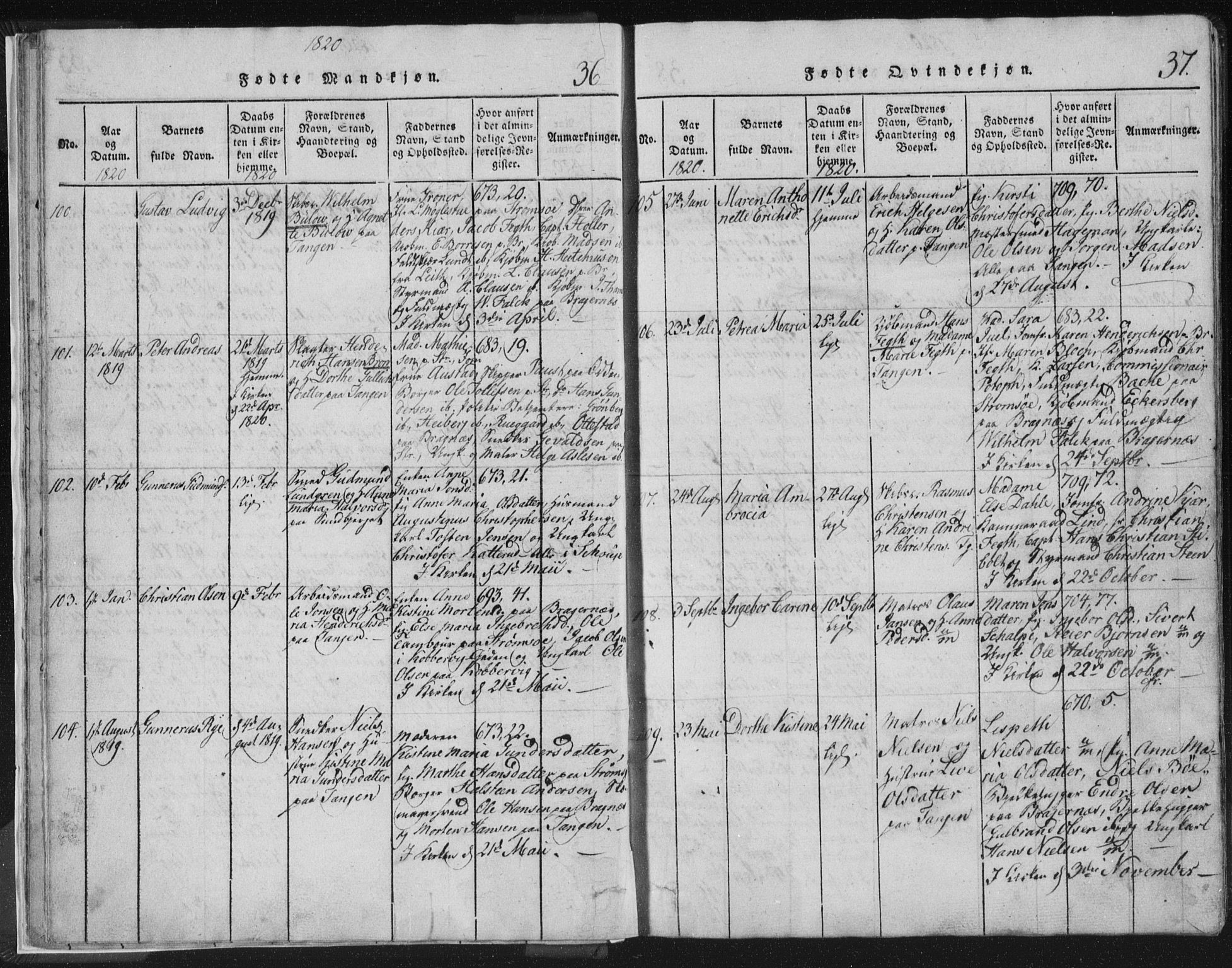 Strømsø kirkebøker, AV/SAKO-A-246/F/Fb/L0004: Parish register (official) no. II 4, 1814-1843, p. 36-37