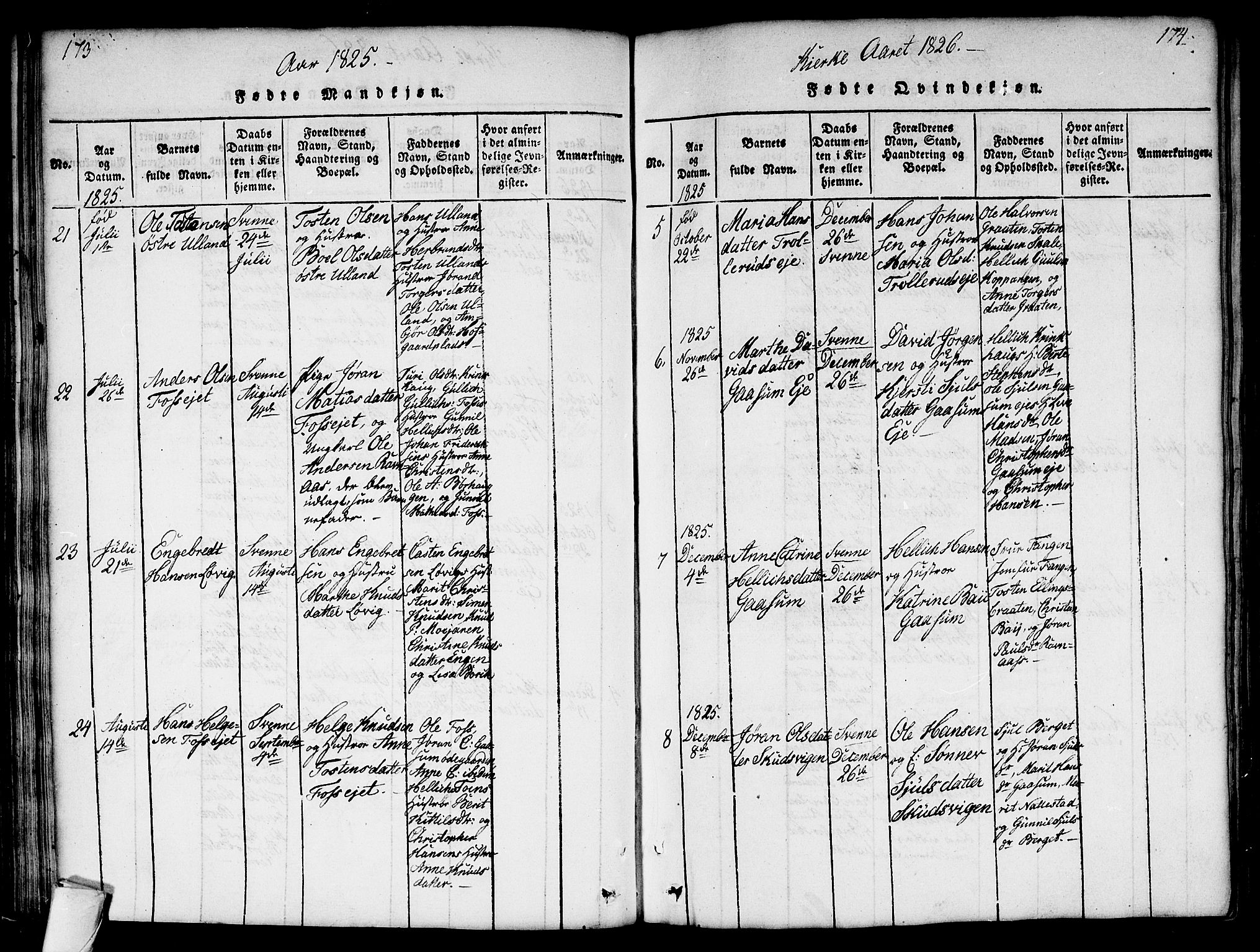 Flesberg kirkebøker, AV/SAKO-A-18/G/Ga/L0001: Parish register (copy) no. I 1, 1816-1834, p. 173-174