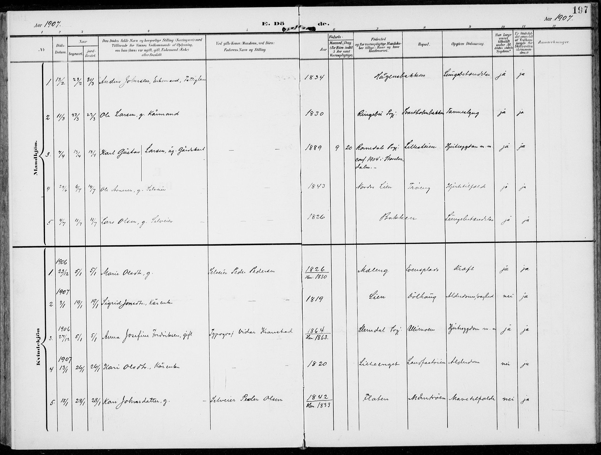 Alvdal prestekontor, AV/SAH-PREST-060/H/Ha/Haa/L0004: Parish register (official) no. 4, 1907-1919, p. 197