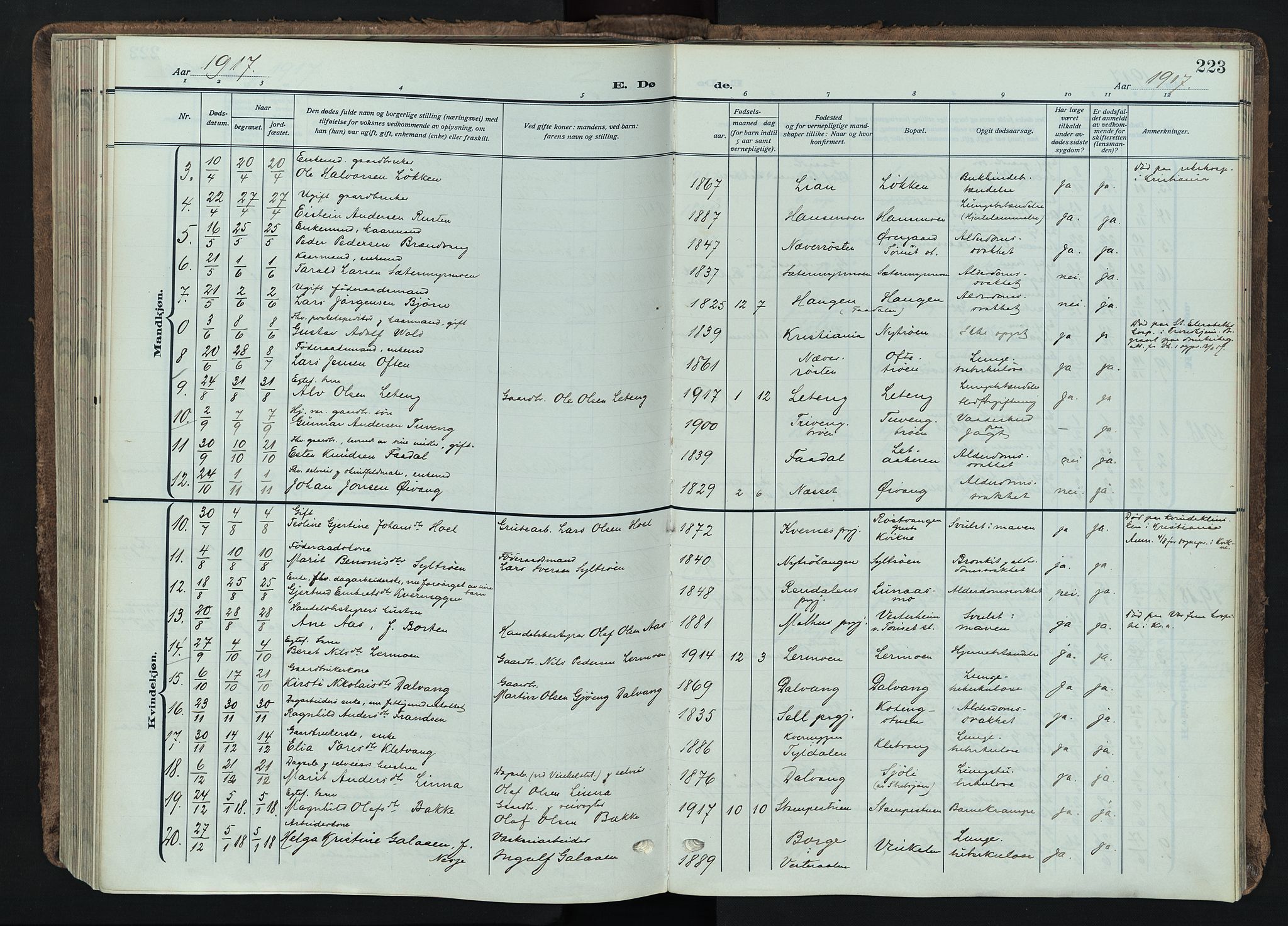 Tynset prestekontor, SAH/PREST-058/H/Ha/Haa/L0026: Parish register (official) no. 26, 1915-1929, p. 223