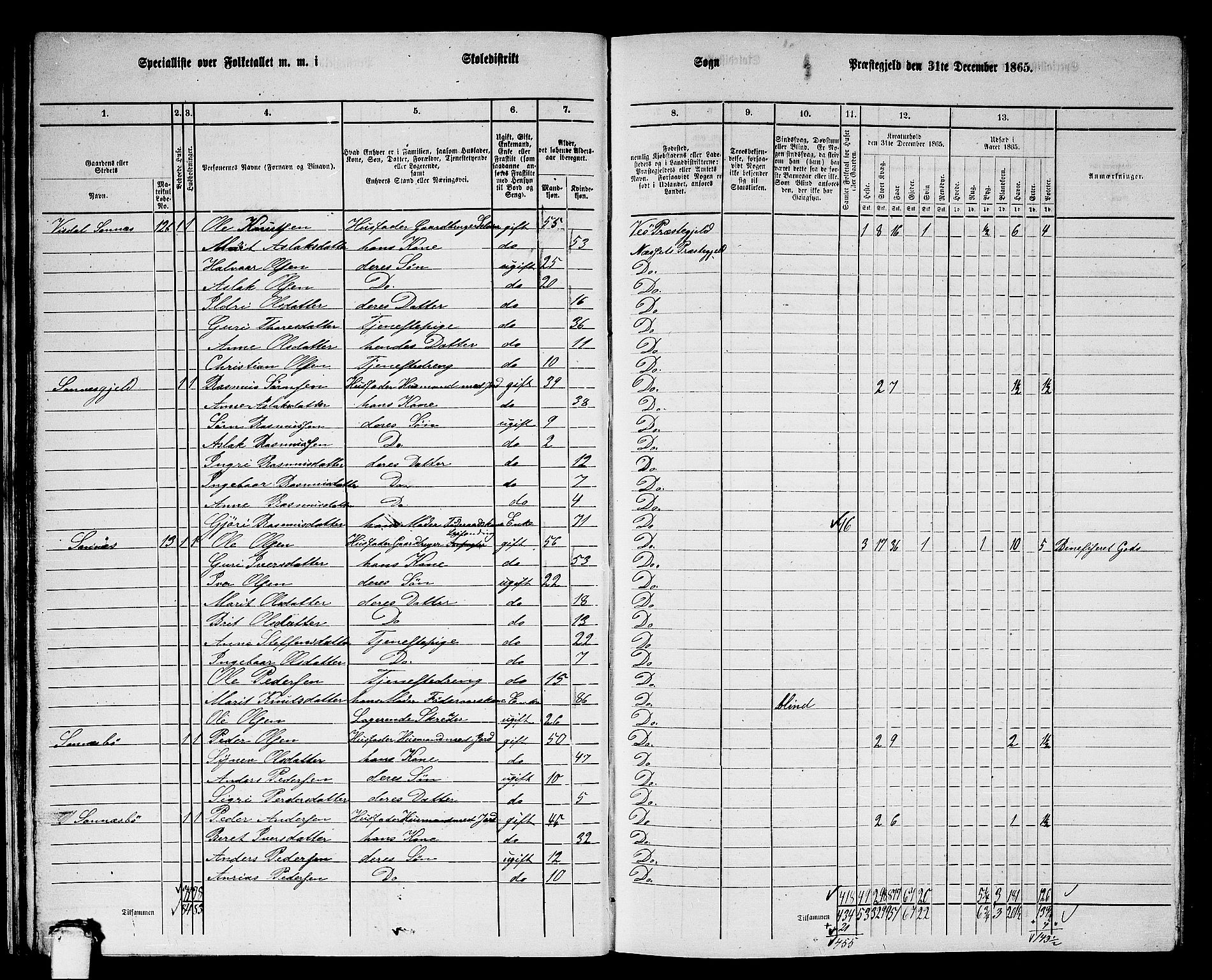 RA, 1865 census for Nesset, 1865, p. 27