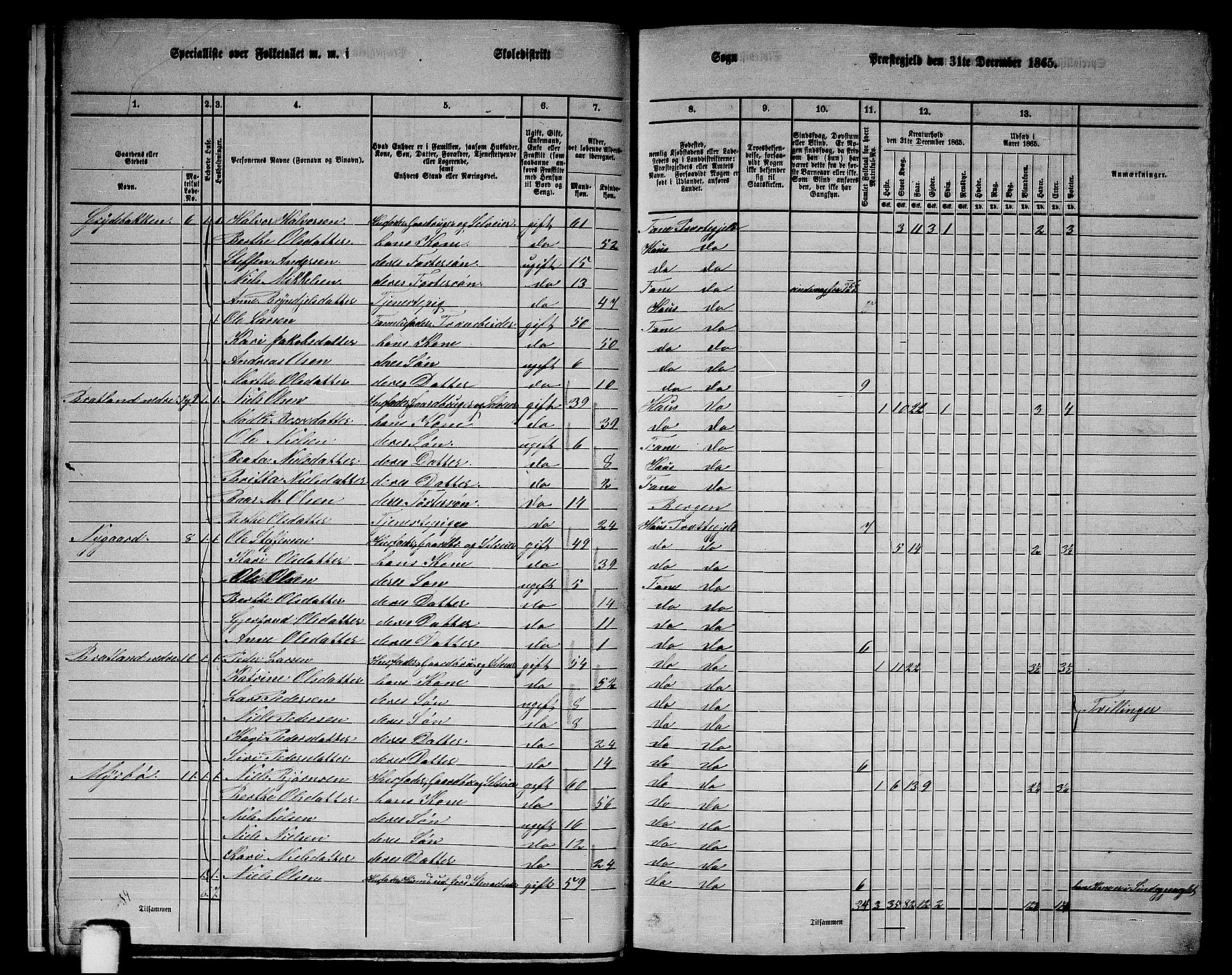 RA, 1865 census for Fana, 1865, p. 13