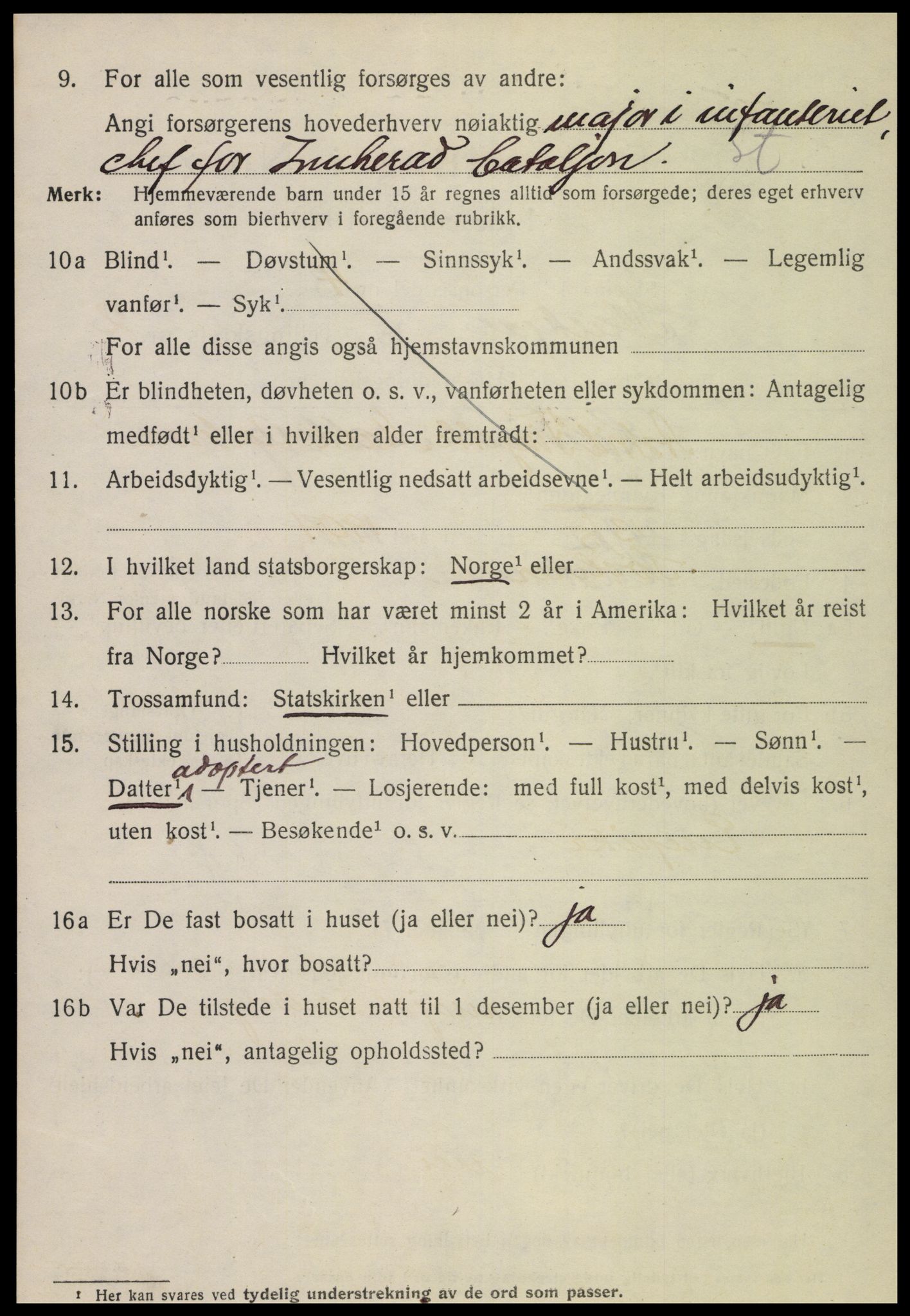 SAT, 1920 census for Steinkjer, 1920, p. 4215