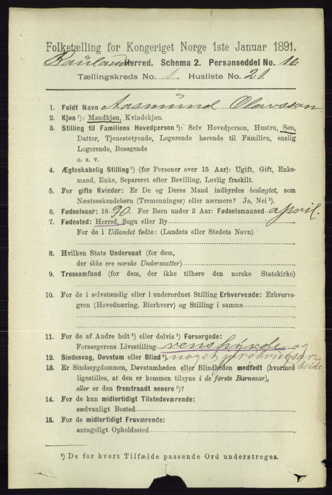 RA, 1891 census for 0835 Rauland, 1891, p. 178