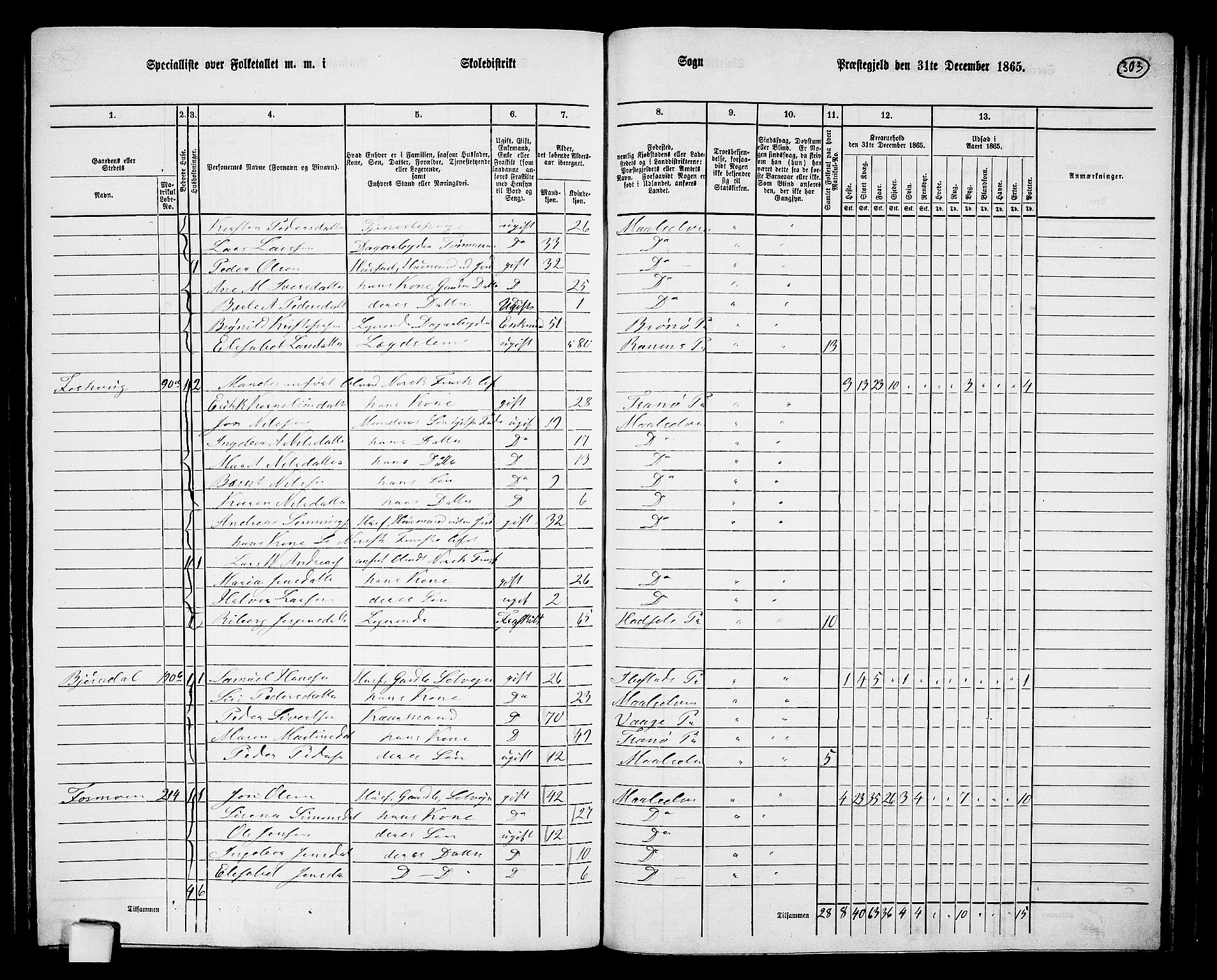 RA, 1865 census for Målselv, 1865, p. 119