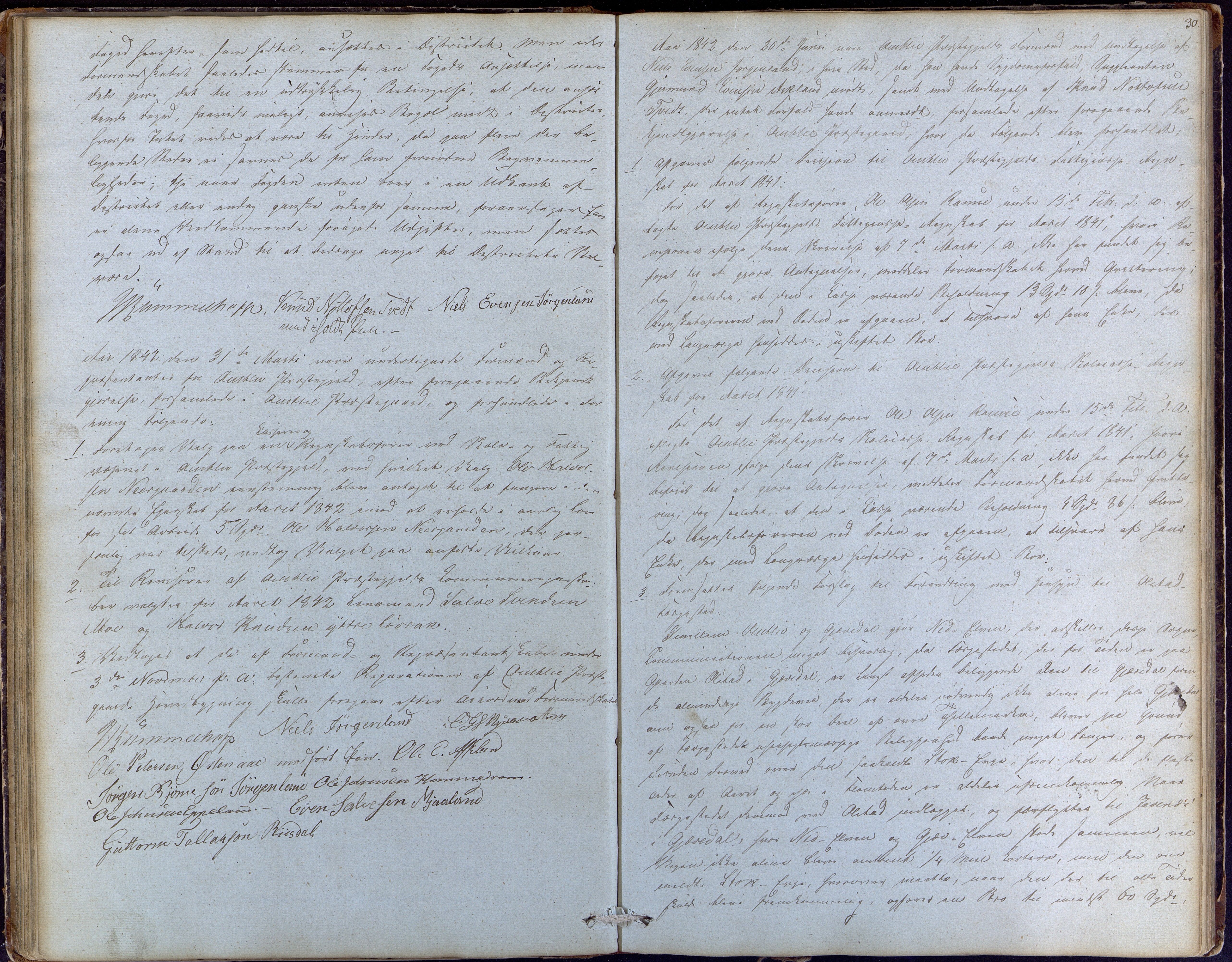 Åmli kommune før 1985, AAKS/KA0929-PK/01/01a/L0001: Møtebok, 1837-1854, p. 30