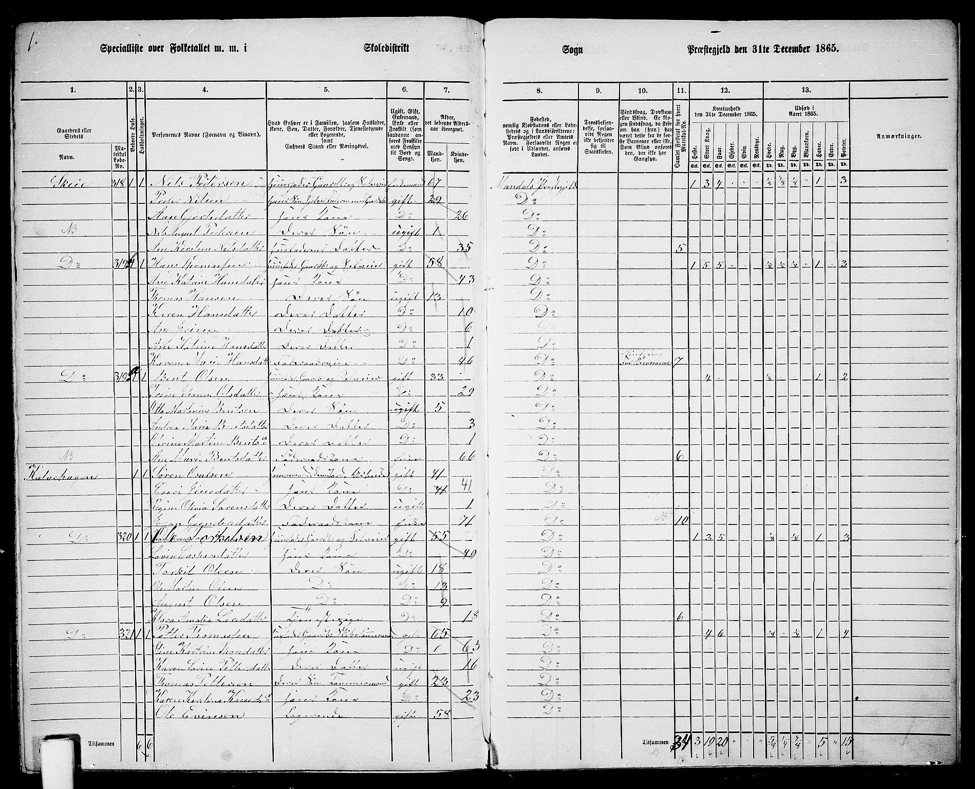 RA, 1865 census for Mandal/Halse og Harkmark, 1865, p. 123