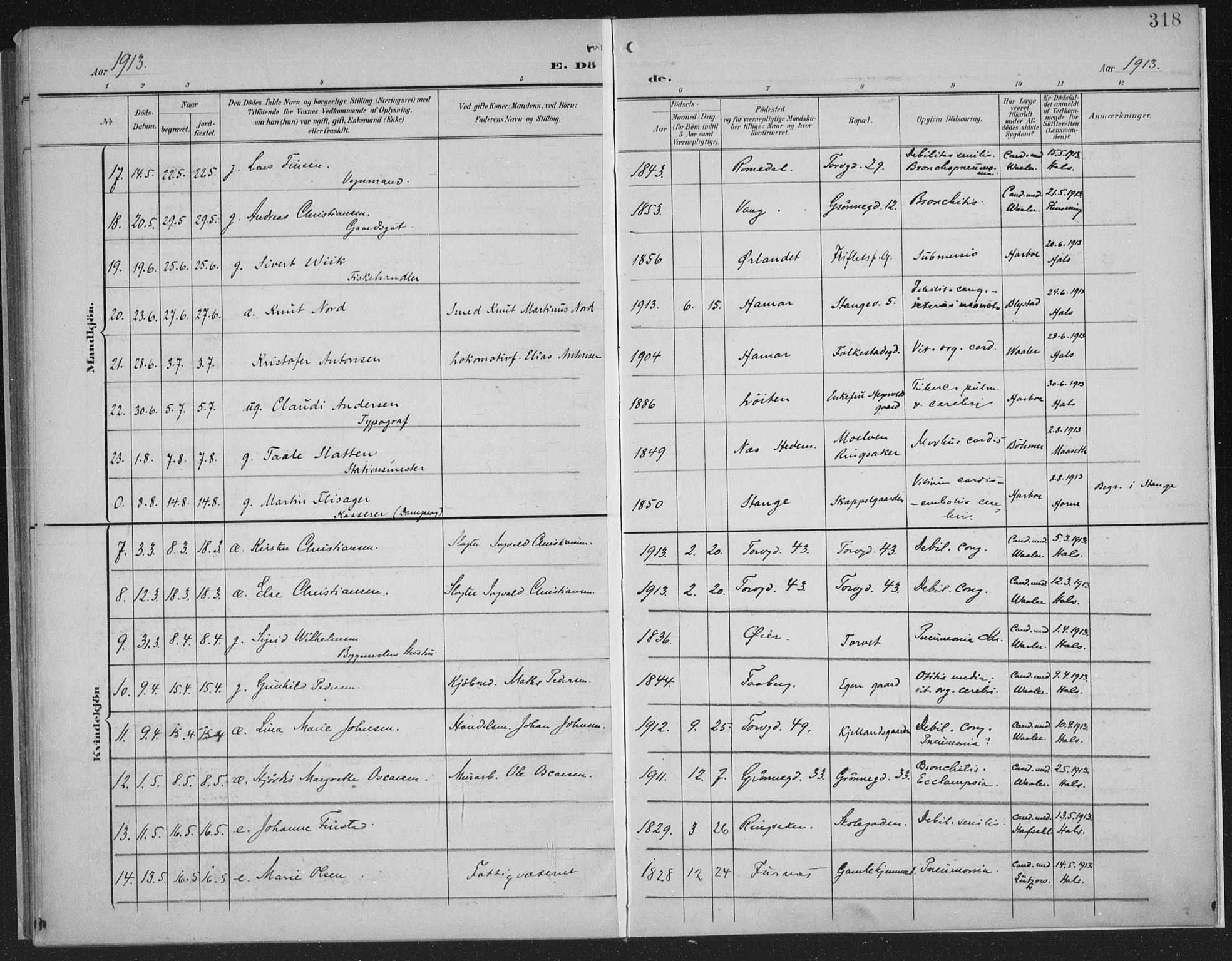 Hamar prestekontor, AV/SAH-DOMPH-002/H/Ha/Haa/L0001: Parish register (official) no. 1, 1900-1914, p. 318