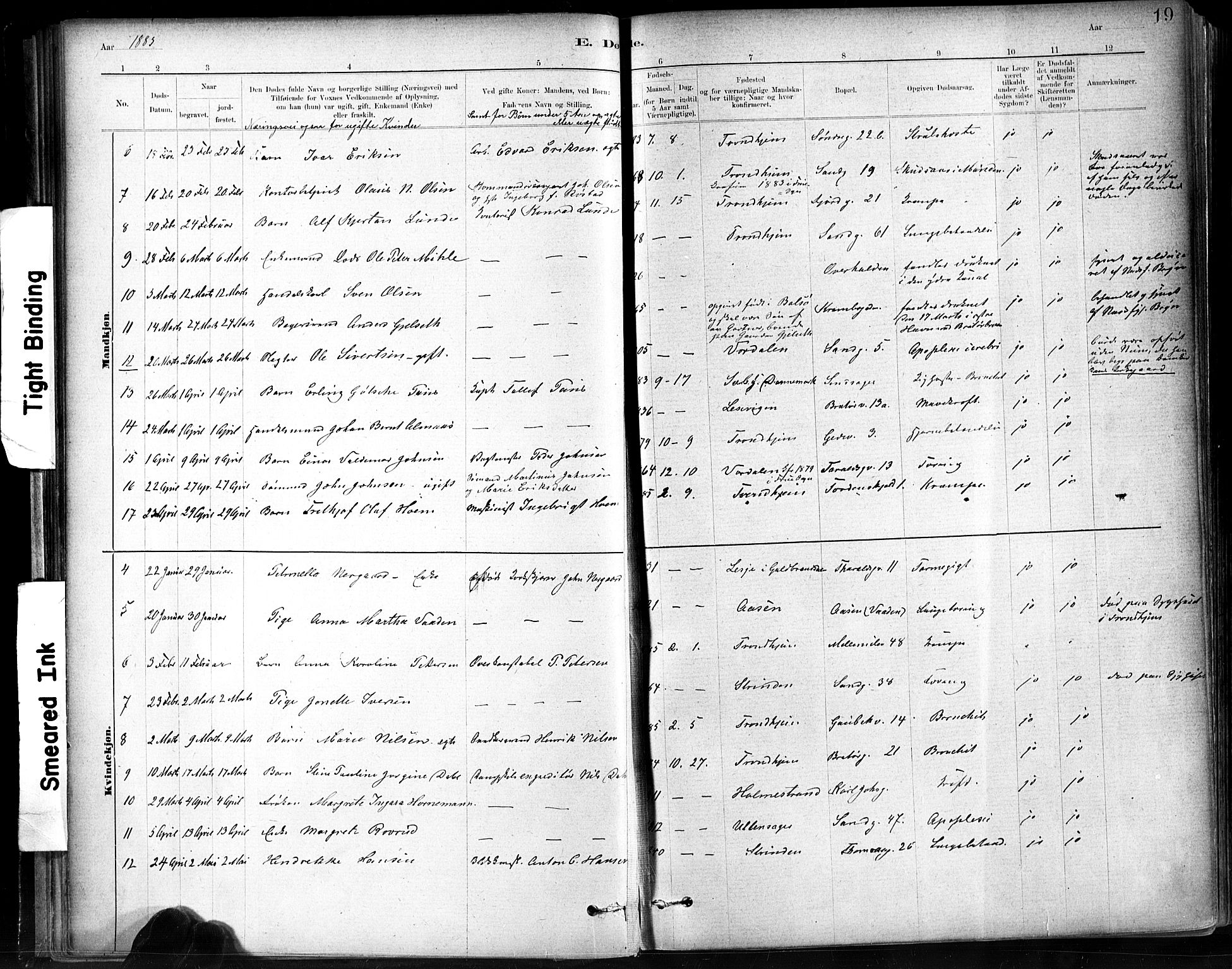 Ministerialprotokoller, klokkerbøker og fødselsregistre - Sør-Trøndelag, SAT/A-1456/602/L0120: Parish register (official) no. 602A18, 1880-1913, p. 19